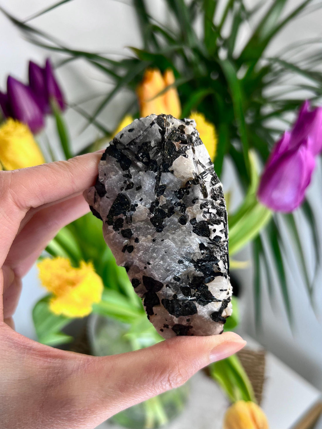Grade A Black Tourmaline in Quartz – Powerful Energy Shield, Protection & Clarity Stone, from Araçuaí, Brazil BQ10, 220g