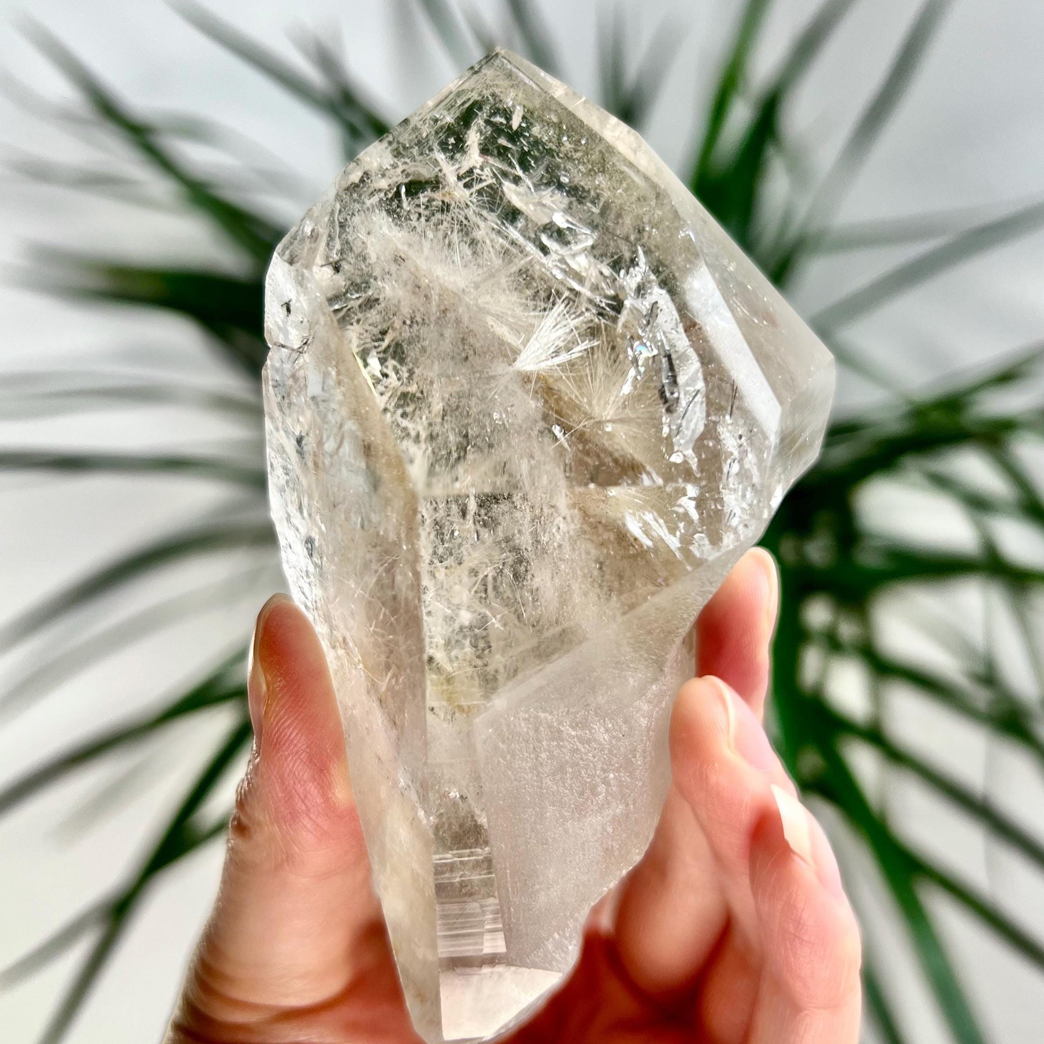 Grade AA+ Cathedral Lemurian Quartz Point with Rainbow, Rutile and Iron, Akashic Record Access - LCC35,167g