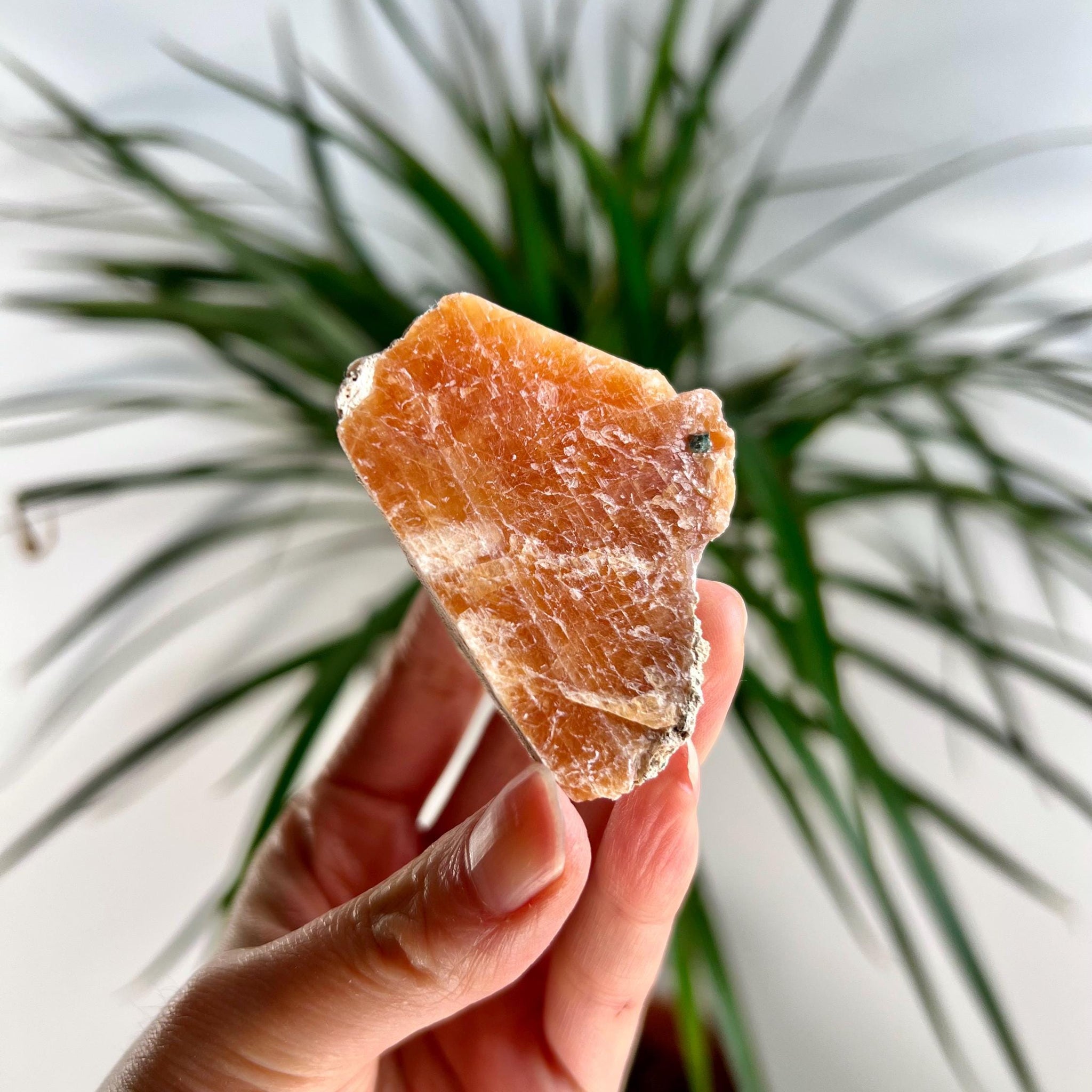 Grade A Natural Orange Calcite with Apatite, Raw Crystal, Sacral, Solar Plexus, and Third Eye Chakra, from Bahia Brazil CA01,75g