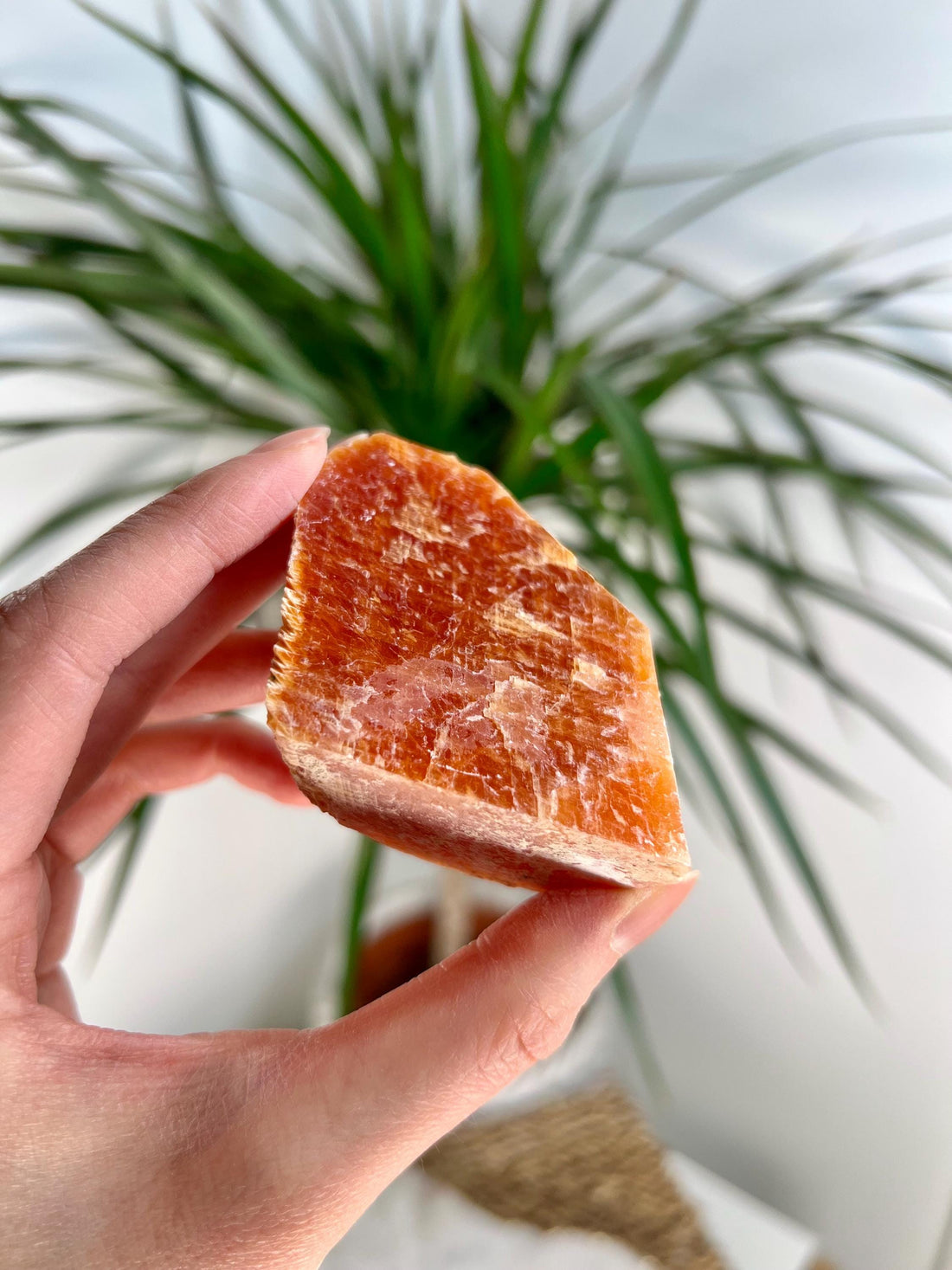 Grade AA Natural Orange Calcite with Apatite, Raw Crystal, Sacral, Solar Plexus, and Third Eye Chakra, from Bahia Brazil CA06, 156g