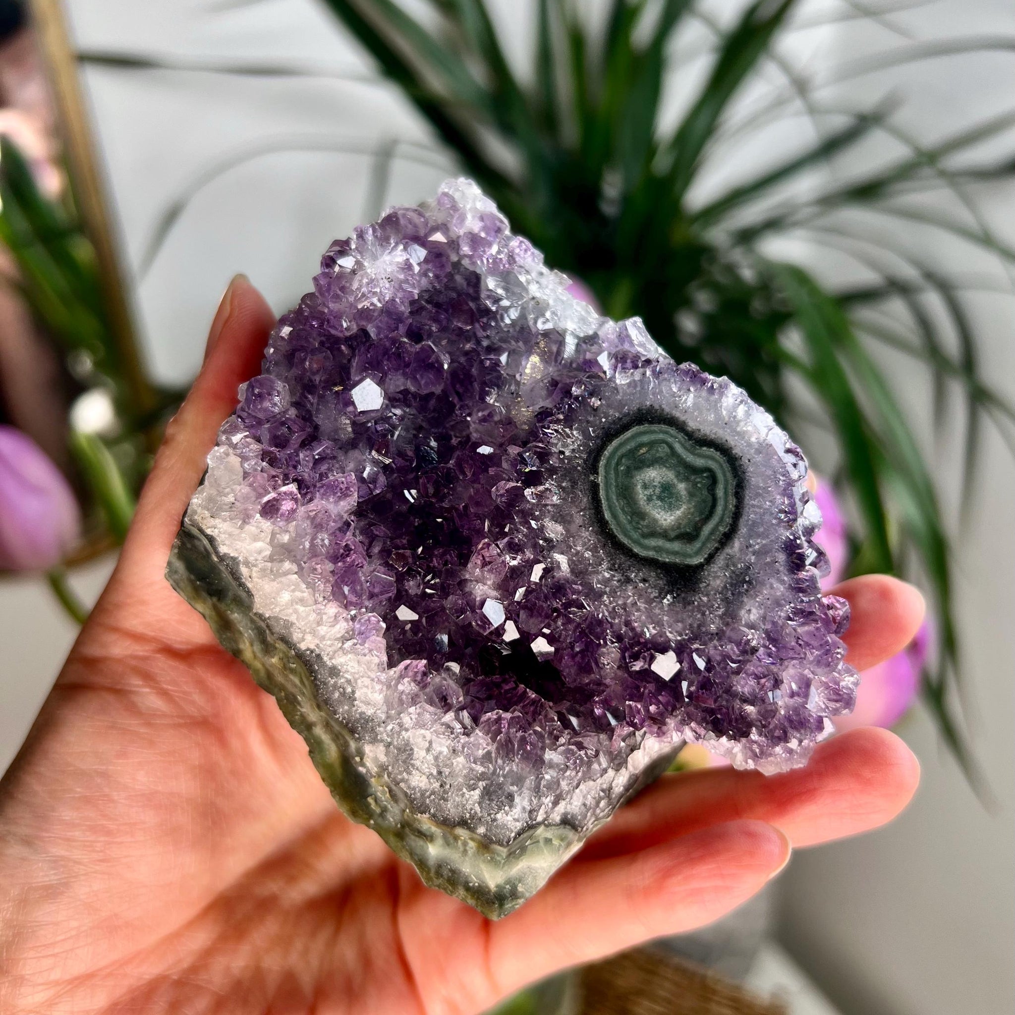 Grade AA Natural Amethyst Flower Stalactite Eye from Uruguay – Unique Formation, High-Energy Healing Crystal - US61, 459g