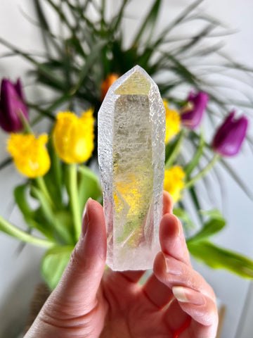 Grade AA Starbrary Quartz – Unique Glyphs, Record Keepers, and Galactic Wisdom, from Tomás Gonzaga, Minas Gerais, Brazil RQG27, 65g