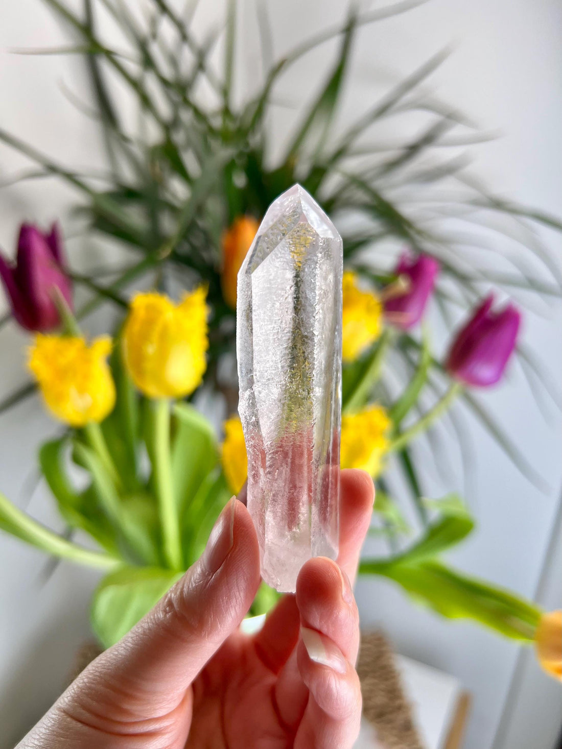 Grade AA Starbrary Quartz – Unique Glyphs, Record Keepers, and Galactic Wisdom, from Tomás Gonzaga, Minas Gerais, Brazil RQG27, 65g