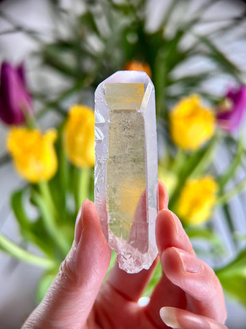 Grade AA Starbrary Quartz – Unique Glyphs, Record Keepers, and Galactic Wisdom, from Tomás Gonzaga, Minas Gerais, Brazil RQG28, 41g