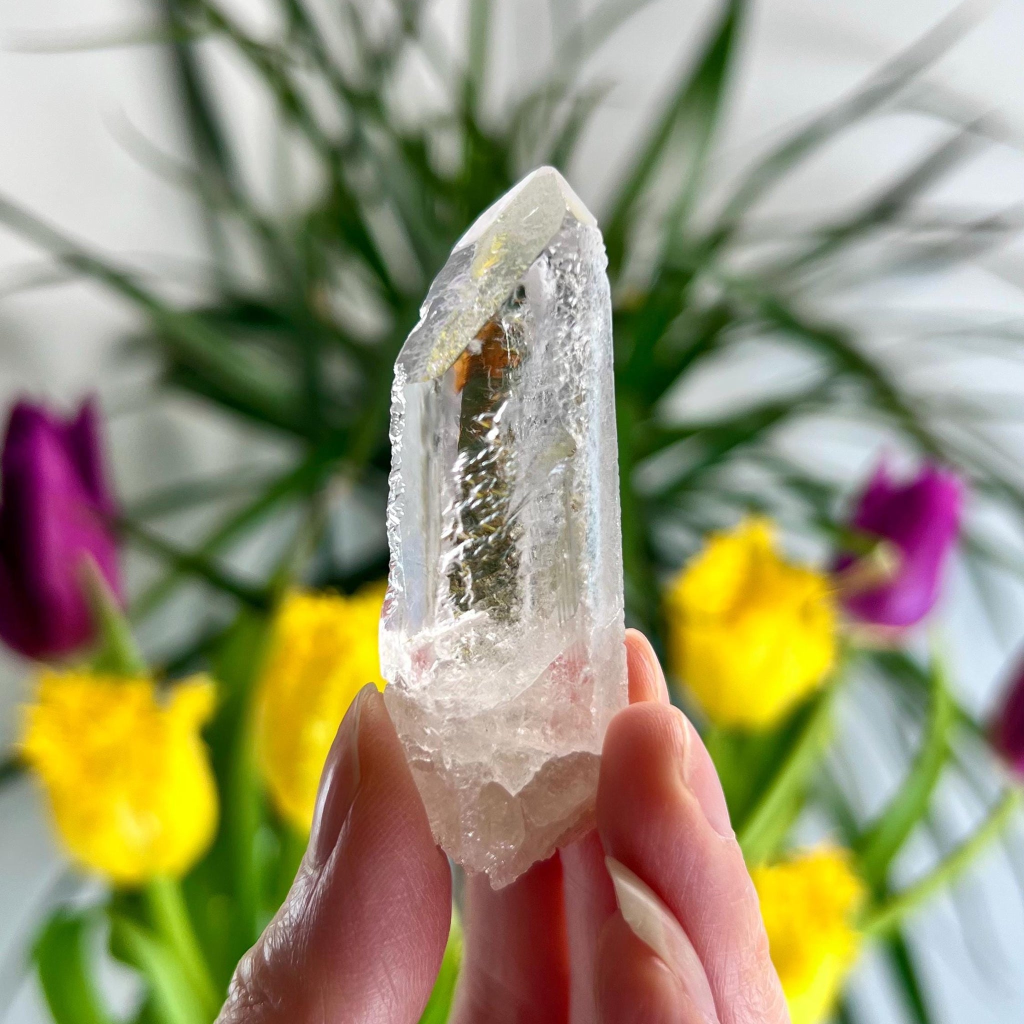 Grade AA Starbrary Quartz – Unique Glyphs, Record Keepers, and Galactic Wisdom, from Tomás Gonzaga, Minas Gerais, Brazil RQG30, 31g