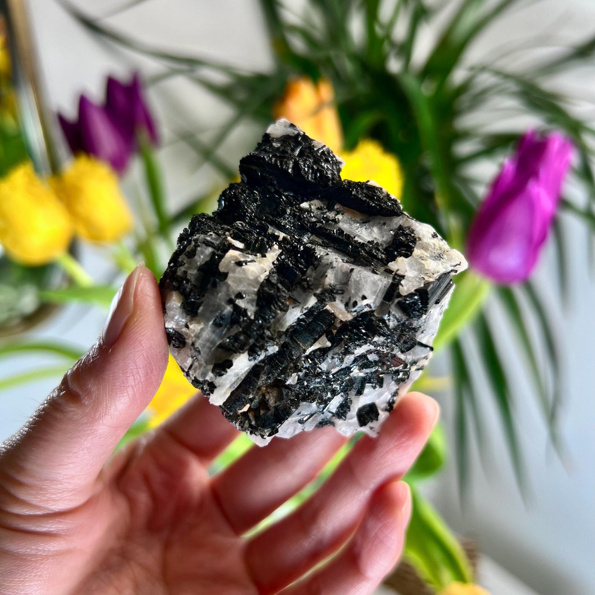 Grade A Black Tourmaline in Quartz – Powerful Energy Shield, Protection & Clarity Stone, from Araçuaí, Brazil BQ03 145g
