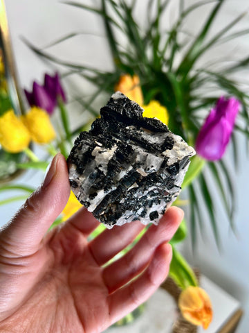 Grade A Black Tourmaline in Quartz – Powerful Energy Shield, Protection & Clarity Stone, from Araçuaí, Brazil BQ03 145g