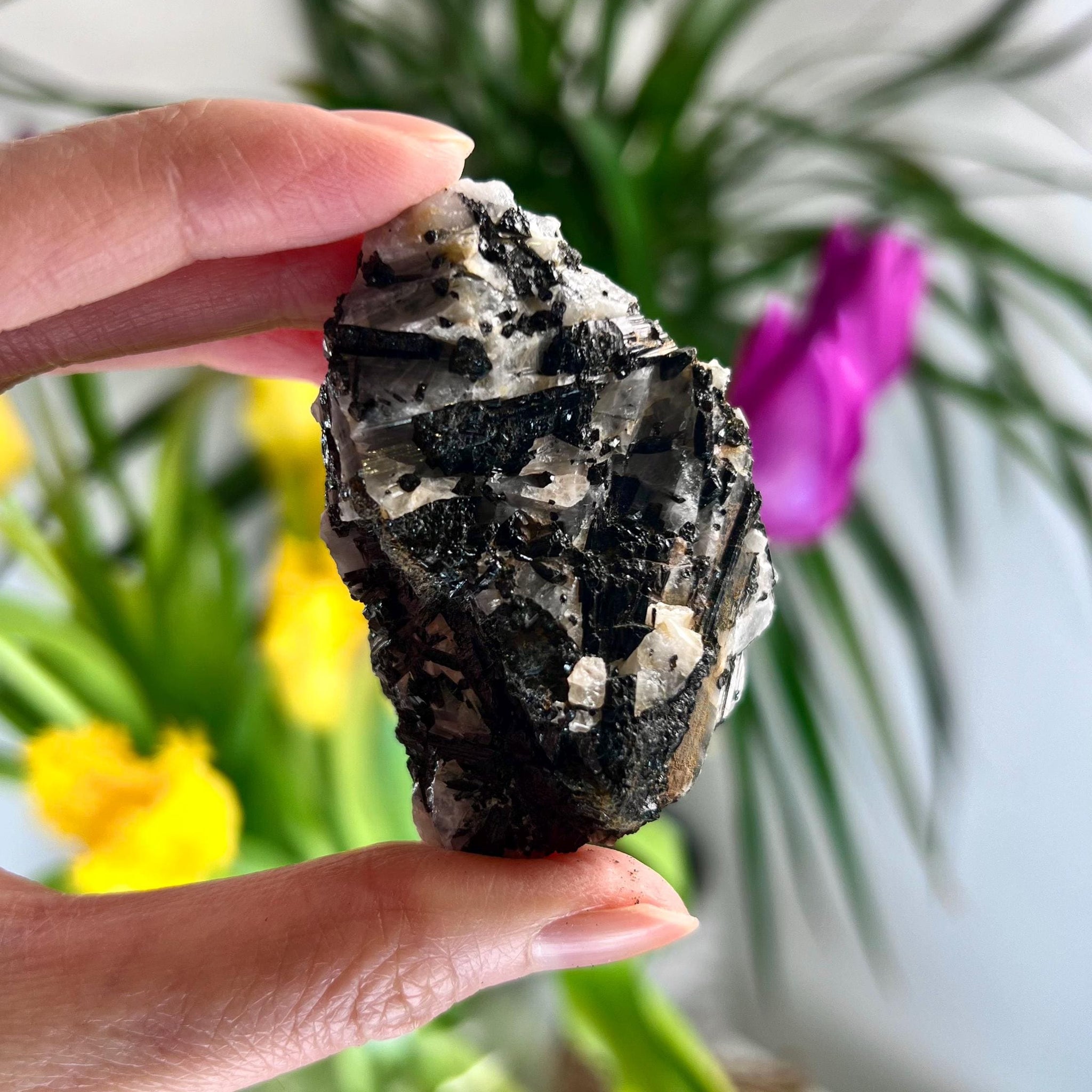 Grade A Black Tourmaline in Quartz – Powerful Energy Shield, Protection & Clarity Stone, from Araçuaí, Brazil BQ04, 81g