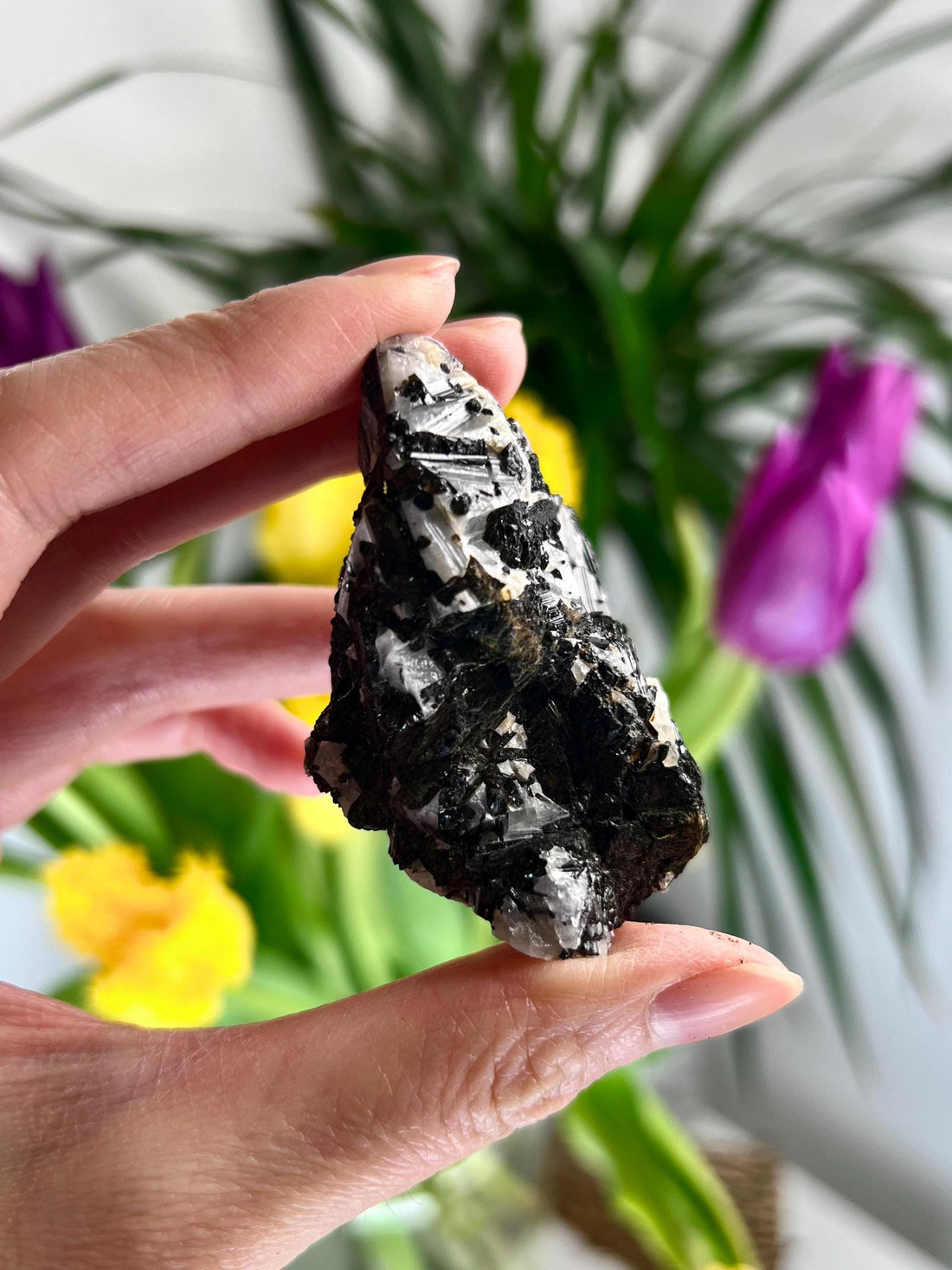 Grade A Black Tourmaline in Quartz – Powerful Energy Shield, Protection & Clarity Stone, from Araçuaí, Brazil BQ04, 81g