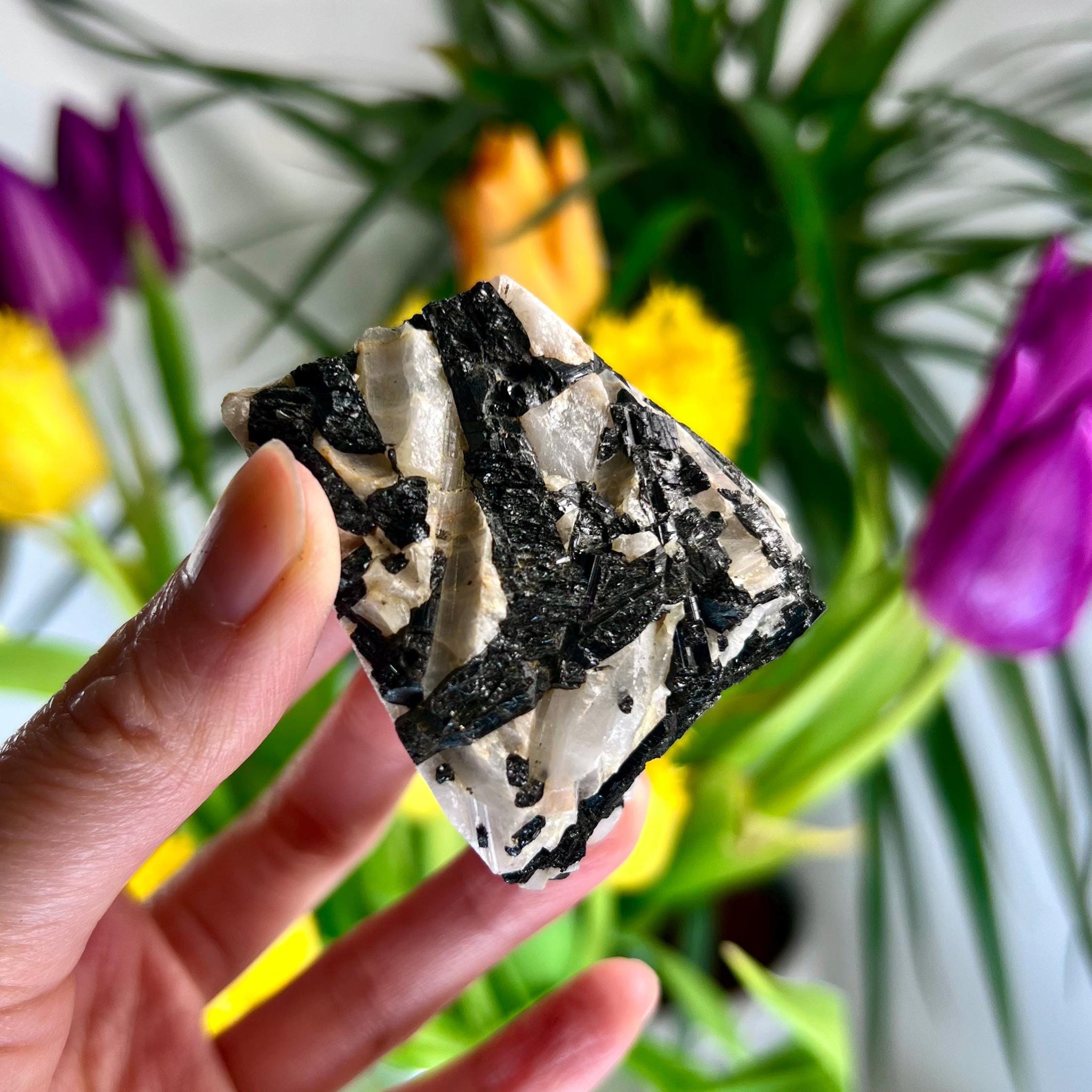 Grade A Black Tourmaline in Quartz – Powerful Energy Shield, Protection & Clarity Stone, from Araçuaí, Brazil BQ07, 152g