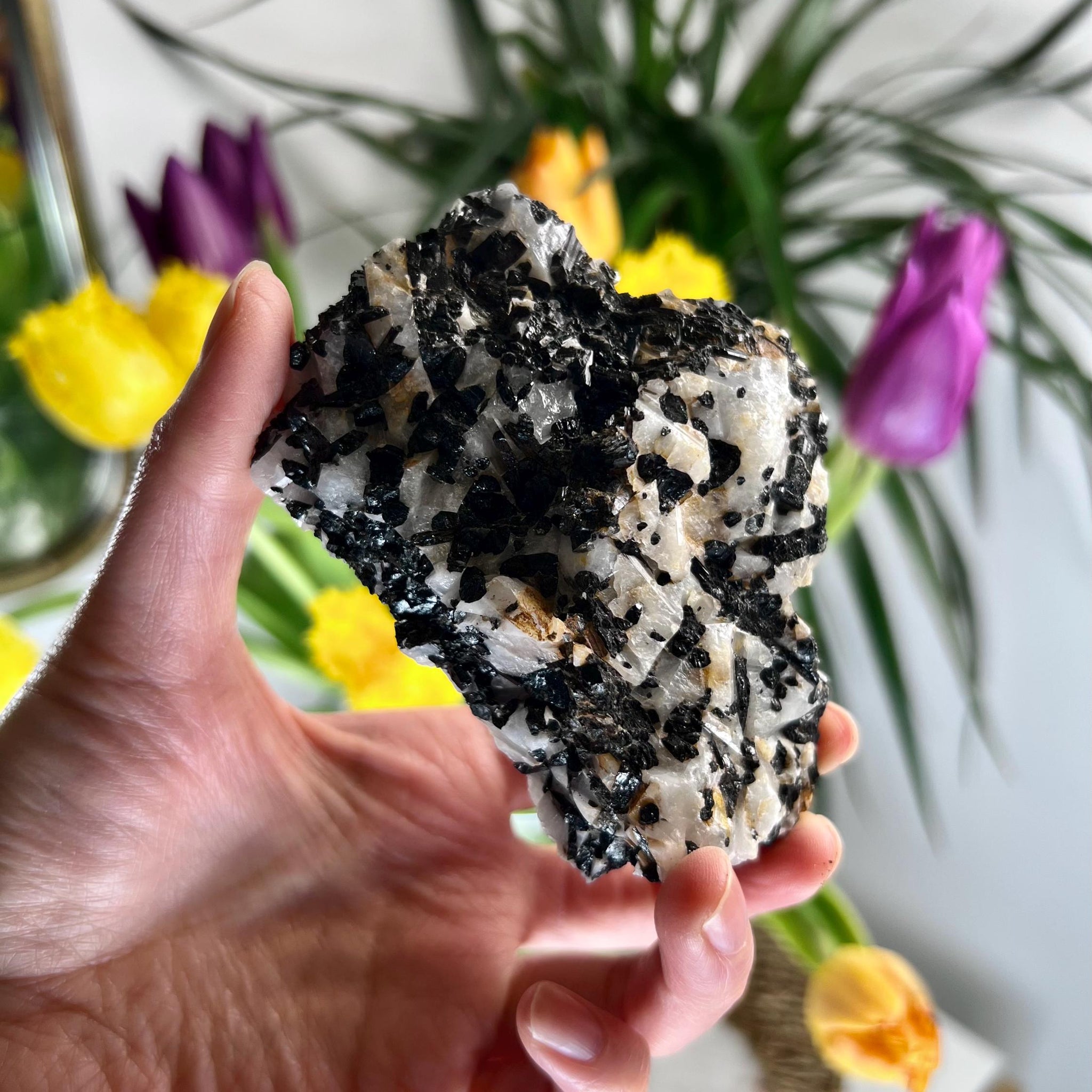 Grade A Black Tourmaline in Quartz – Powerful Energy Shield, Protection & Clarity Stone, from Araçuaí, Brazil BQ09, 257g