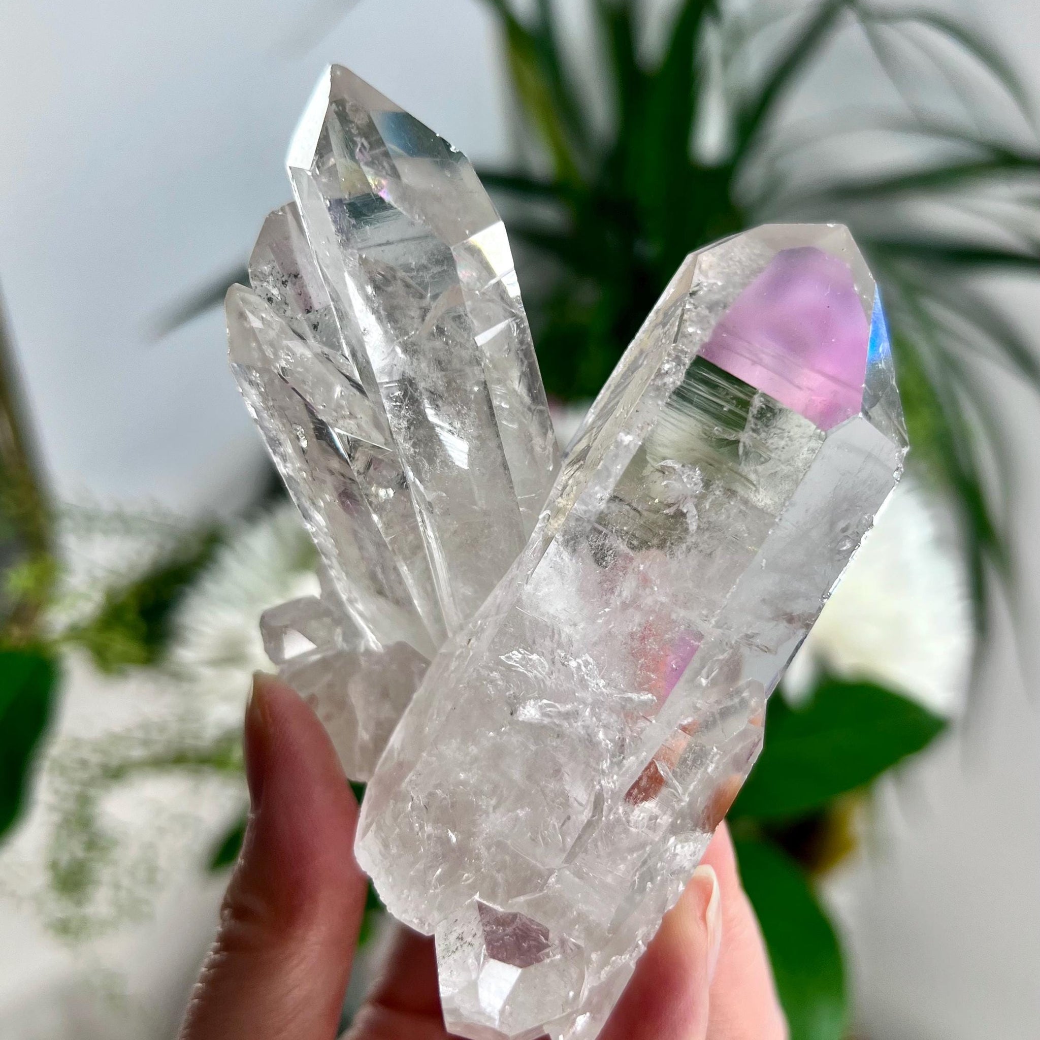 Grade AA+ Natural Clear Quartz Cluster with Chlorite from Diamantina, 245g, CC06