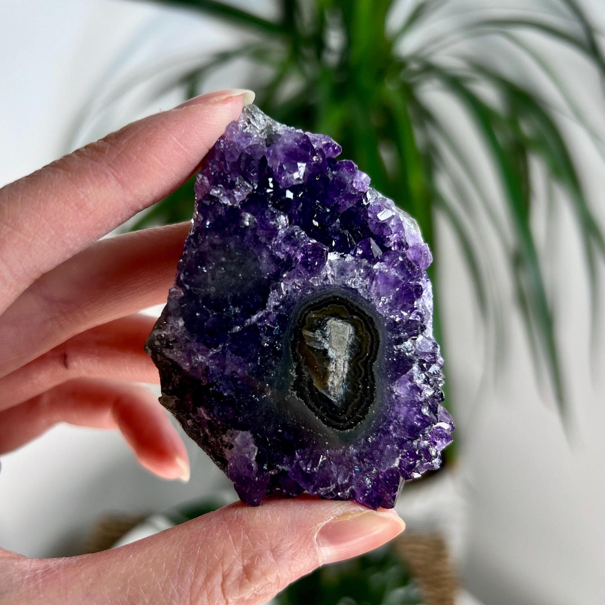 Grade AA Natural Amethyst Stalactite from Uruguay – Unique Formation, High-Energy Healing Crystal - US92, 87g