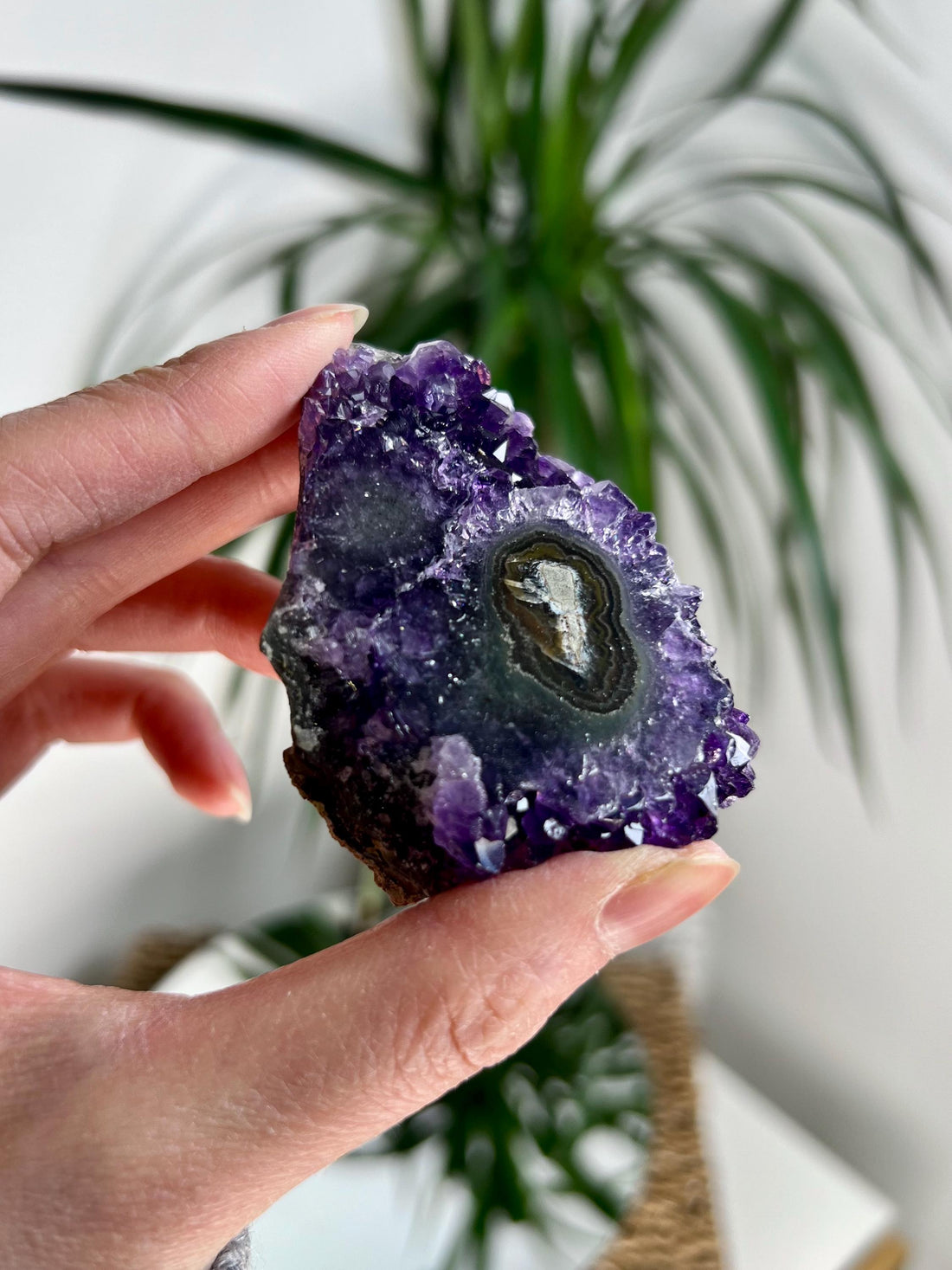 Grade AA Natural Amethyst Stalactite from Uruguay – Unique Formation, High-Energy Healing Crystal - US92, 87g