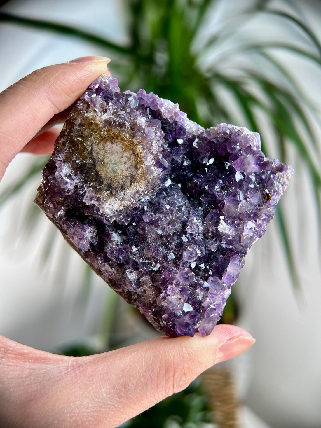 Grade A Natural Amethyst Stalactite from Uruguay – Unique Formation, High-Energy Healing Crystal - US96, 192g