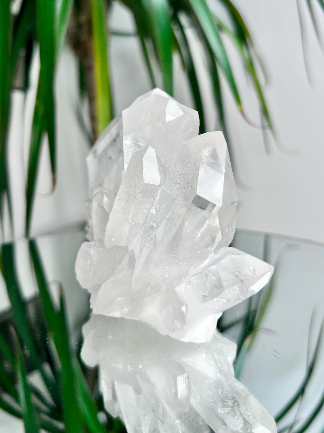 Grade AA+ Natural Clear Quartz Cluster from Diamantina, 554g, CC03
