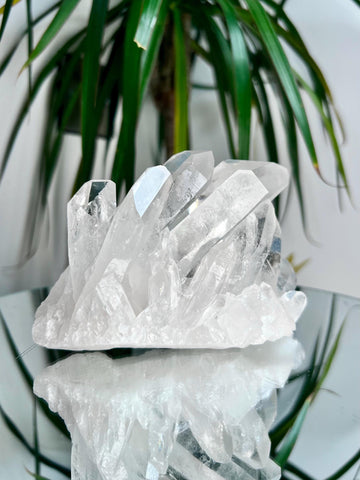 Grade AA+ Natural Clear Quartz Cluster from Diamantina, 554g, CC03