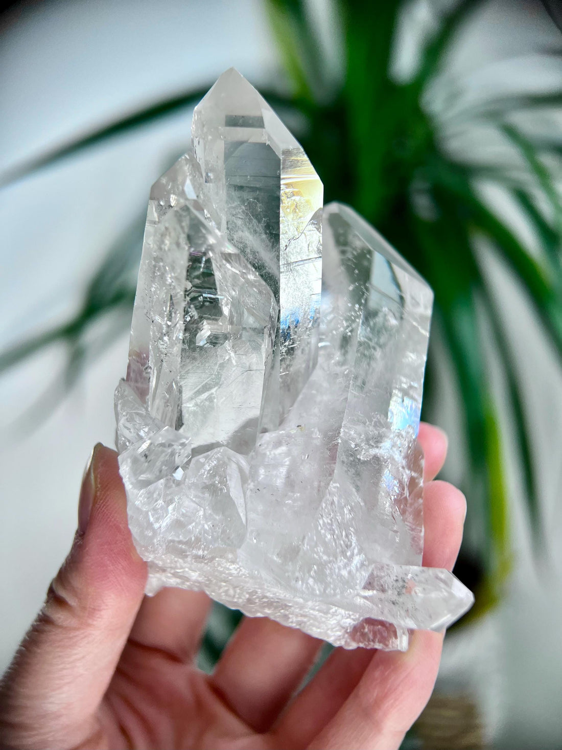 Grade AA+ Natural Clear Quartz Cluster with Chlorite from Diamantina, 245g, CC06