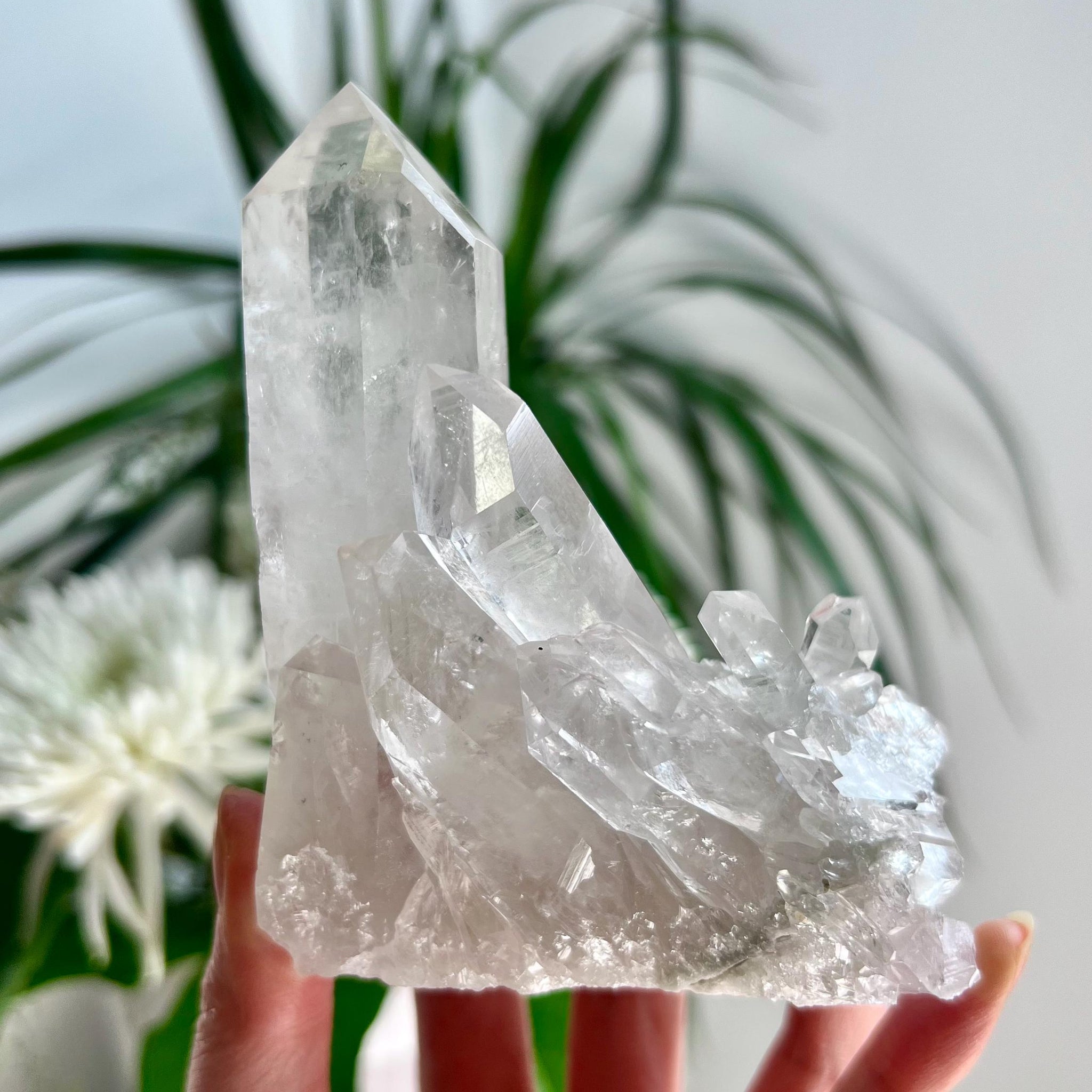 Grade AA Natural Clear Quartz Cluster with Rainbows, from Diamantina, 385g, CC07