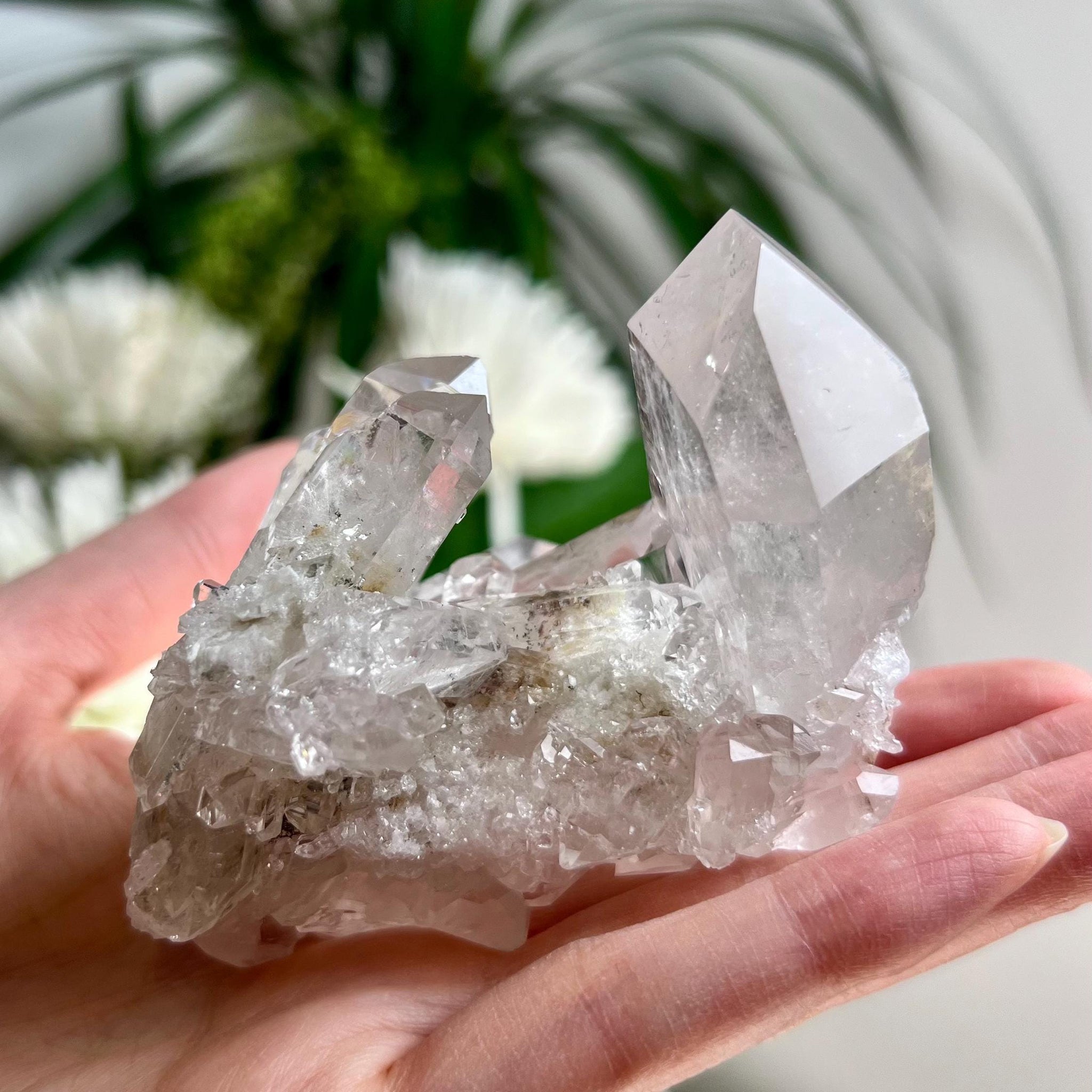 Rare Grade AA+ Natural Clear Quartz Cluster with Chlorite, Unique Bridge formation from Diamantina, 184g, CC12