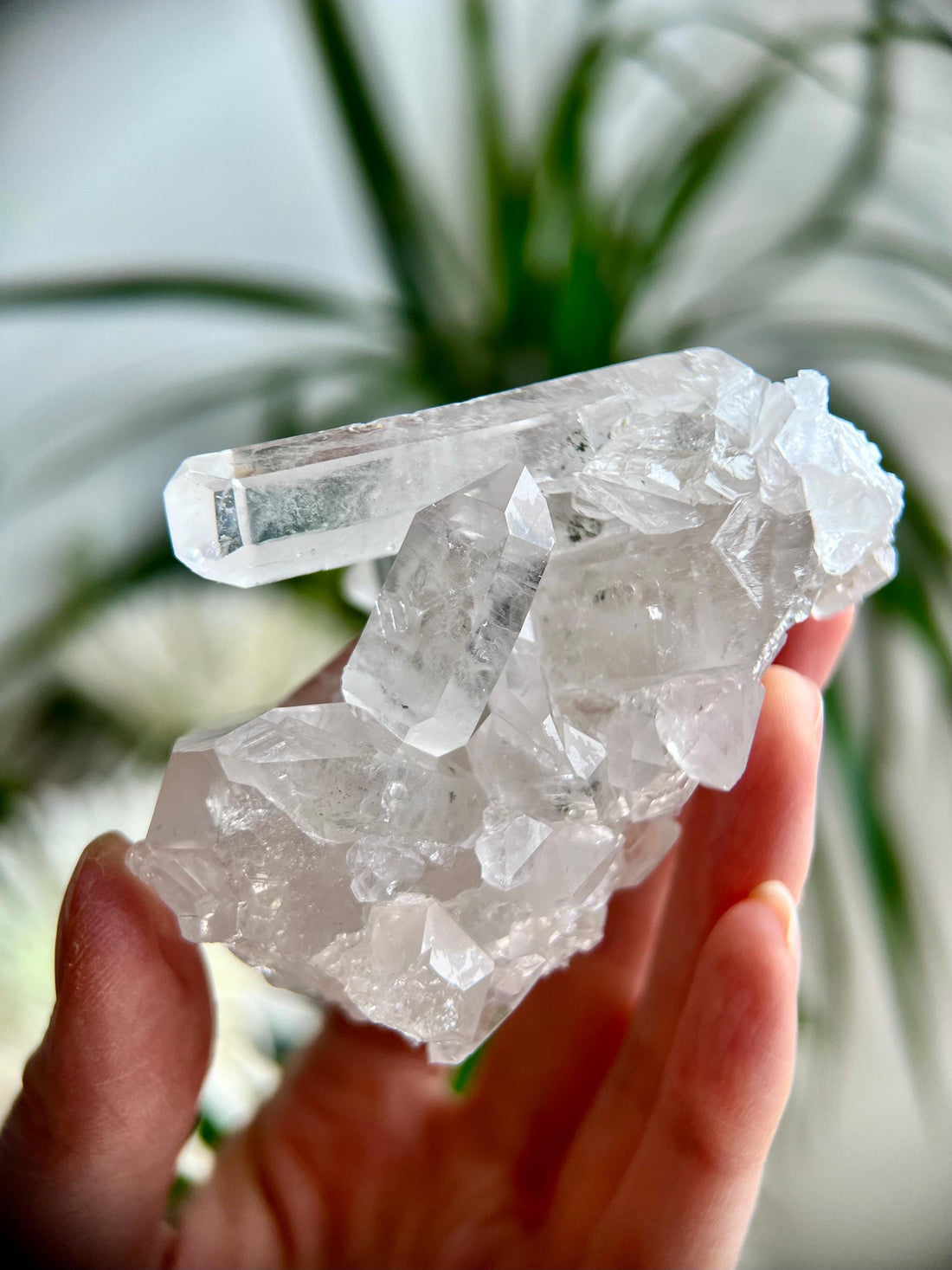 Rare Grade AA+ Natural Clear Quartz Cluster with Chlorite, Unique Bridge formation from Diamantina, 184g, CC12