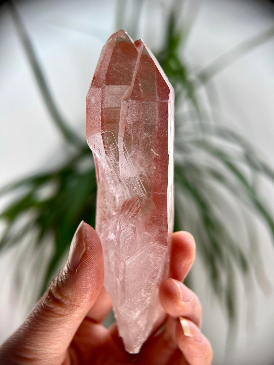 Grade AAA 100% Natural Pink Lemurian Quartz Point– Heart-Activating Love, Wisdom & Divine Connection, from Diamantina, Brazil - PL04, 119g