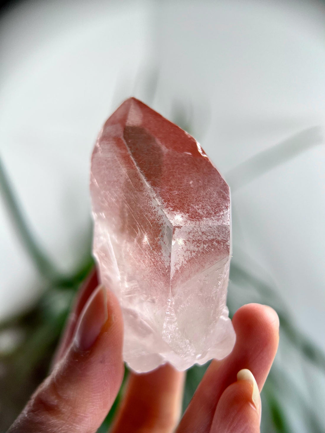 Grade AAA 100% Natural Pink Lemurian Quartz Point–Heart-Activating Love,Wisdom & Divine Connection,from Diamantina - PL08, 79g