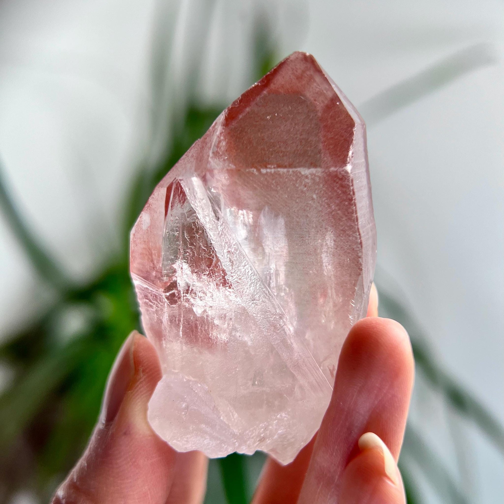 Grade AAA 100% Natural Pink Lemurian Quartz Point–Heart-Activating Love,Wisdom & Divine Connection,from Diamantina - PL08, 79g