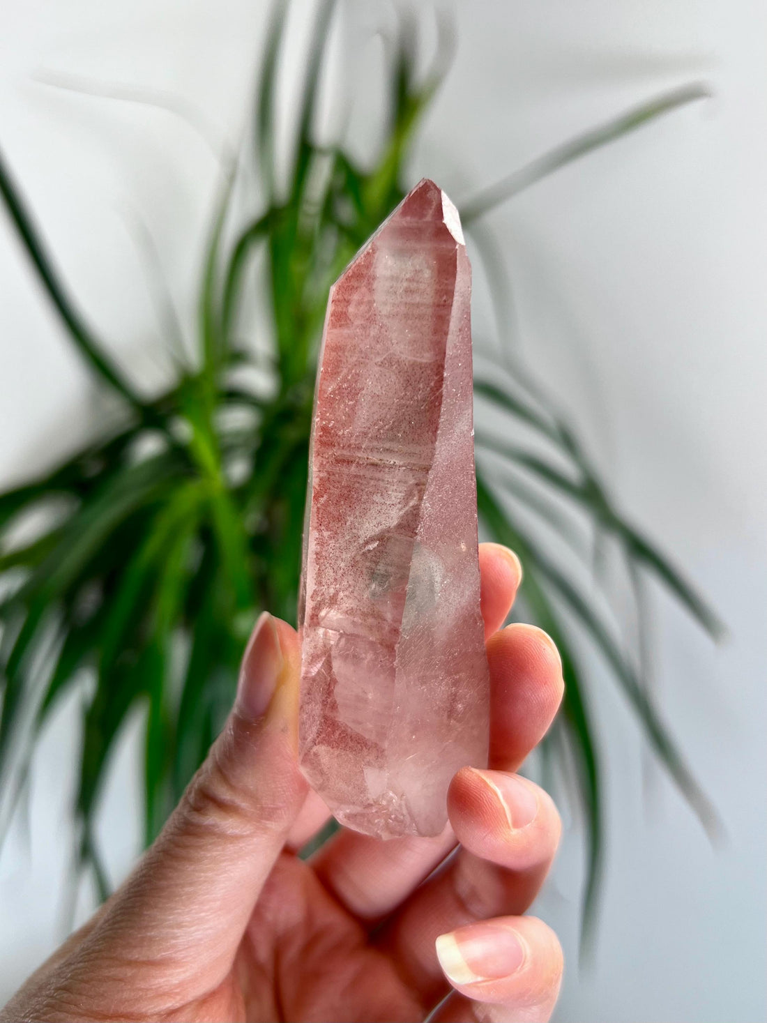 Grade AAA 100% Natural Pink Lemurian Quartz Point–Heart-Activating Love,Wisdom & Divine Connection,from Diamantina - PL09, 85g