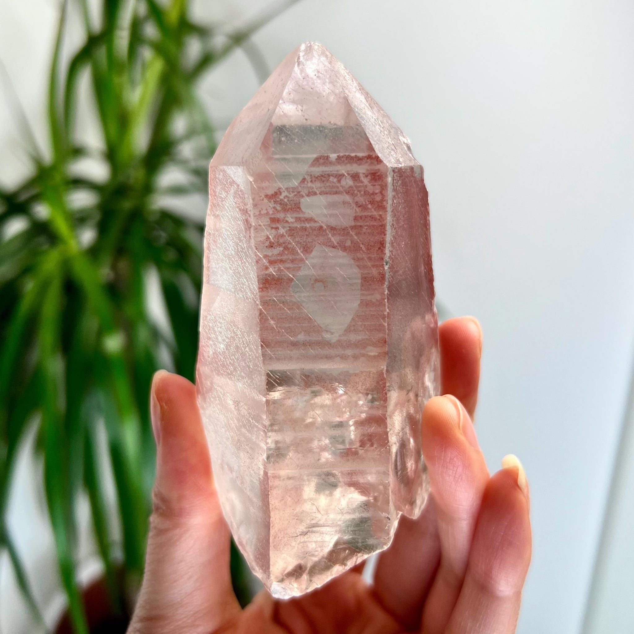 Grade AAA 100% Natural Pink Lemurian Quartz Point–Heart-Activating Love, Wisdom & Divine Connection,from Diamantina - PL16, 243g