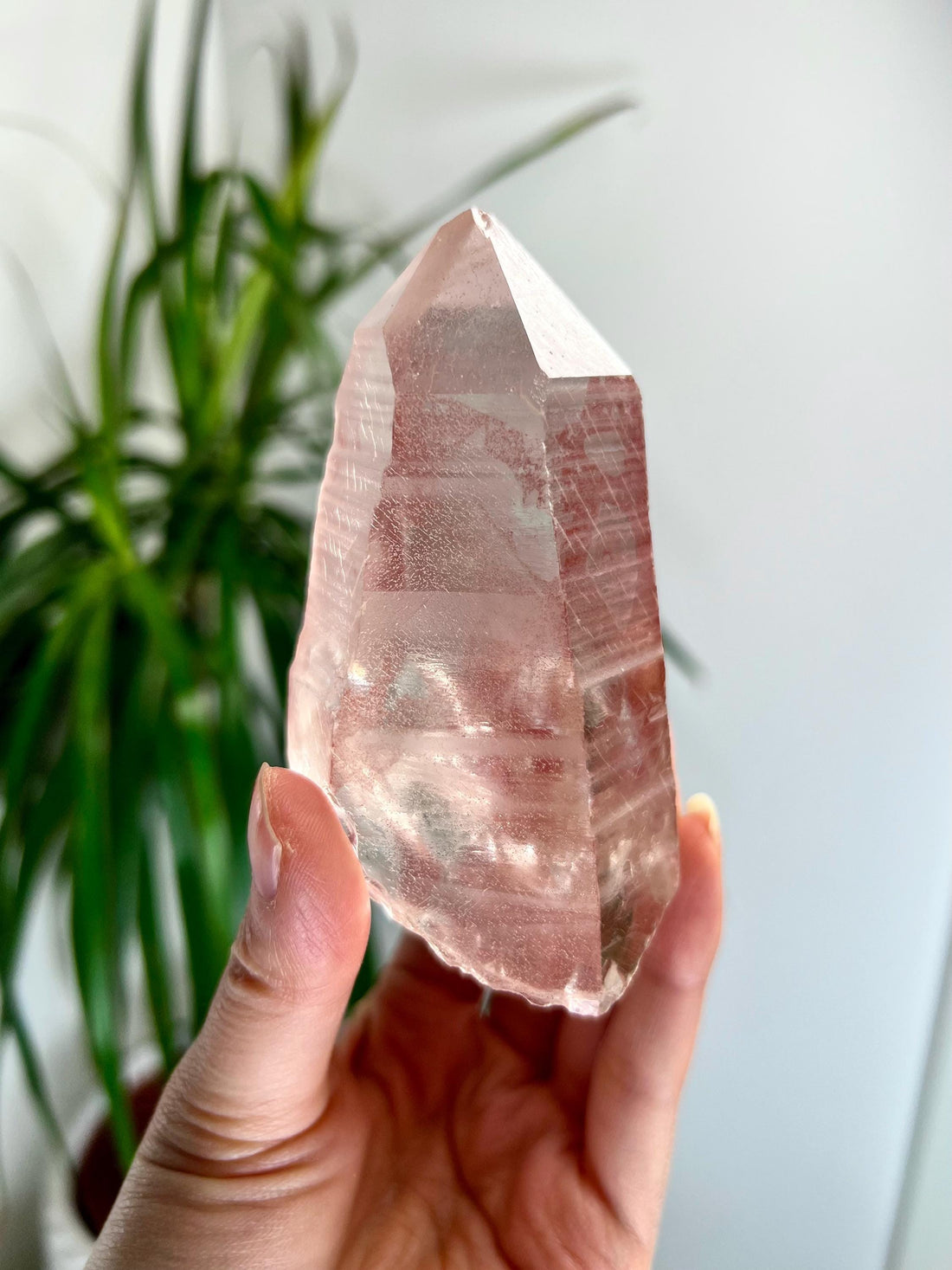 Grade AAA 100% Natural Pink Lemurian Quartz Point–Heart-Activating Love, Wisdom & Divine Connection,from Diamantina - PL16, 243g