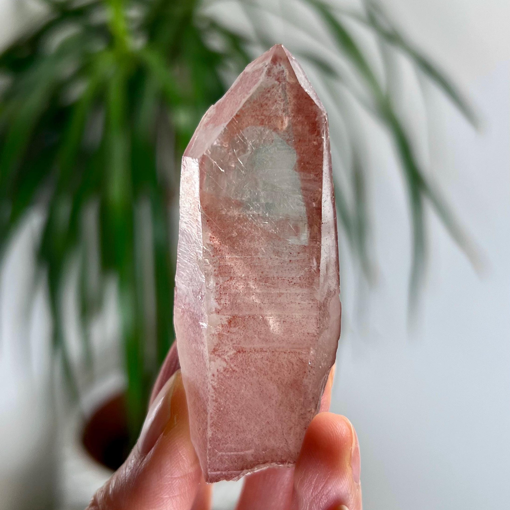 Grade AAA 100% Natural Pink Lemurian Quartz Point–Heart-Activating Love,Wisdom & Divine Connection,from Diamantina - PL17, 49g