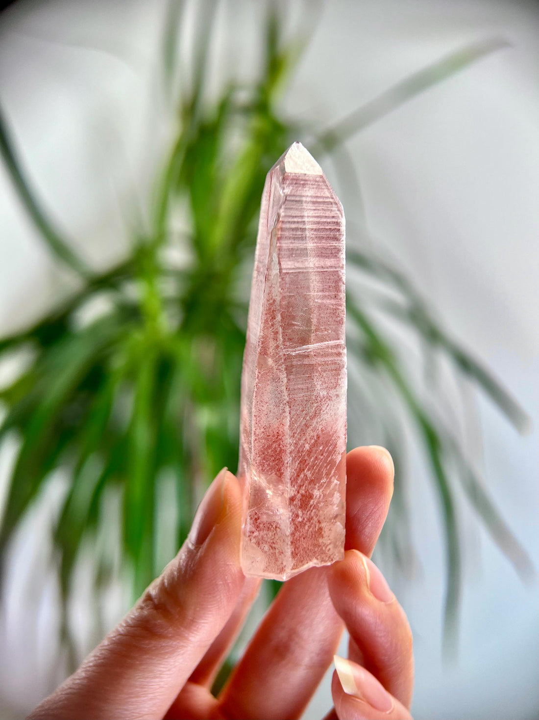 Grade AAA 100% Natural Pink Lemurian Quartz Point–Heart-Activating Love, Wisdom & Divine Connection,from Diamantina - PL23, 50g