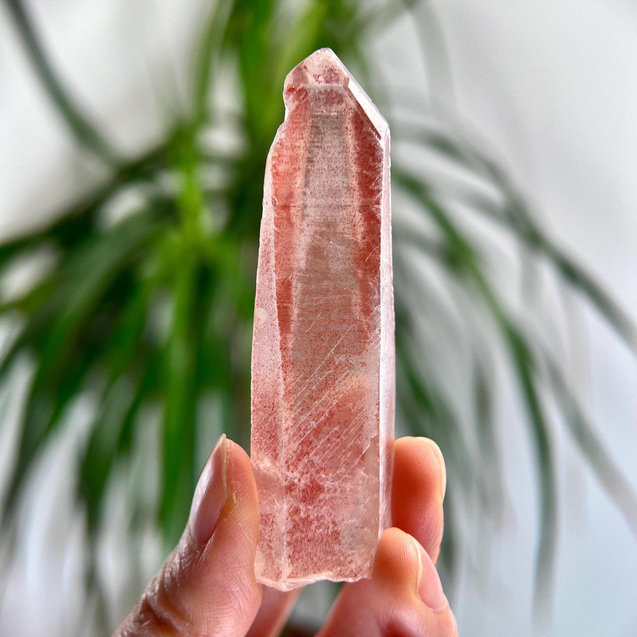 Grade AAA 100% Natural Pink Lemurian Quartz Point–Heart-Activating Love, Wisdom & Divine Connection,from Diamantina - PL23, 50g