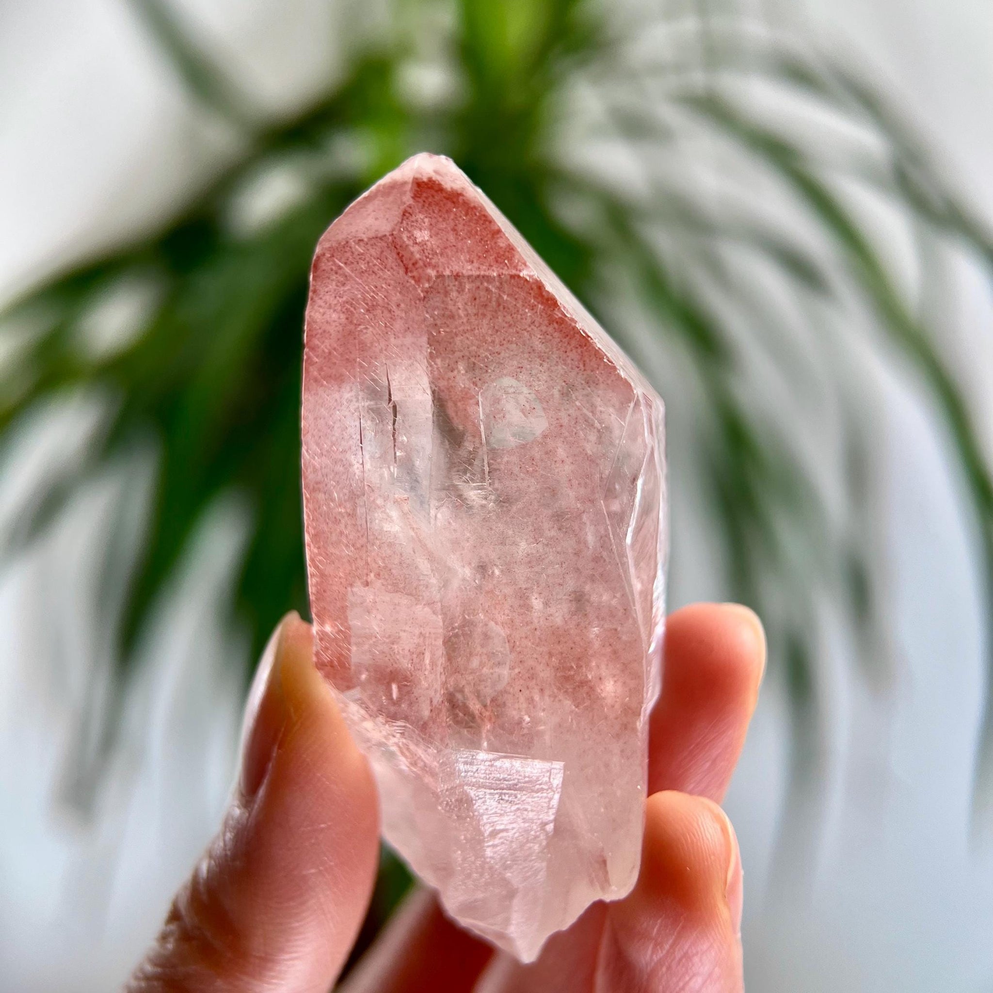 Grade AAA 100% Natural Pink Lemurian Quartz Point with Rainbow–Heart-Activating Love, Wisdom & Divine Connection,from Diamantina - PL24, 70g