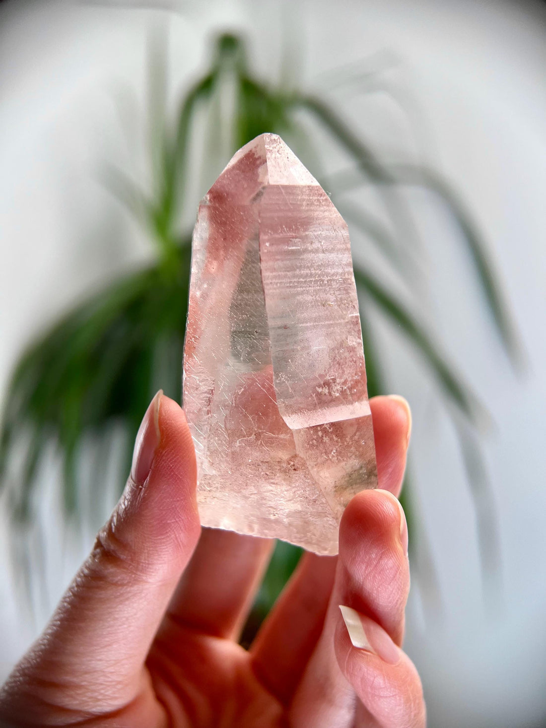 Grade AAA 100% Natural Pink Lemurian Quartz Point with Rainbow and Chlorite – Love, Wisdom & Divine Connection,from Diamantina - PL26, 91g