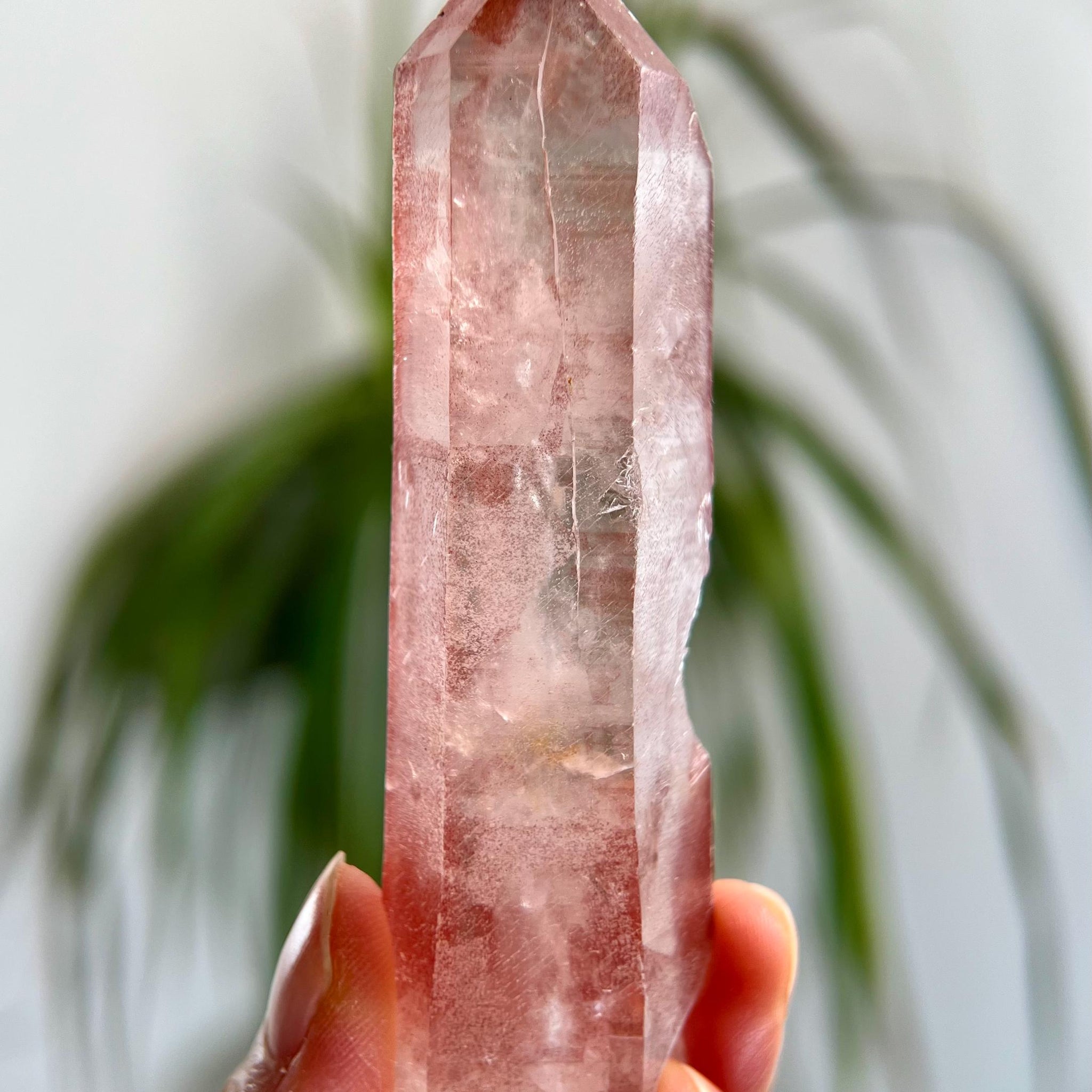 Grade AAA 100% Soulmate Natural Pink Lemurian Quartz Point–Heart-Activating Love, Wisdom & Divine Connection,from Diamantina - PL27, 84g