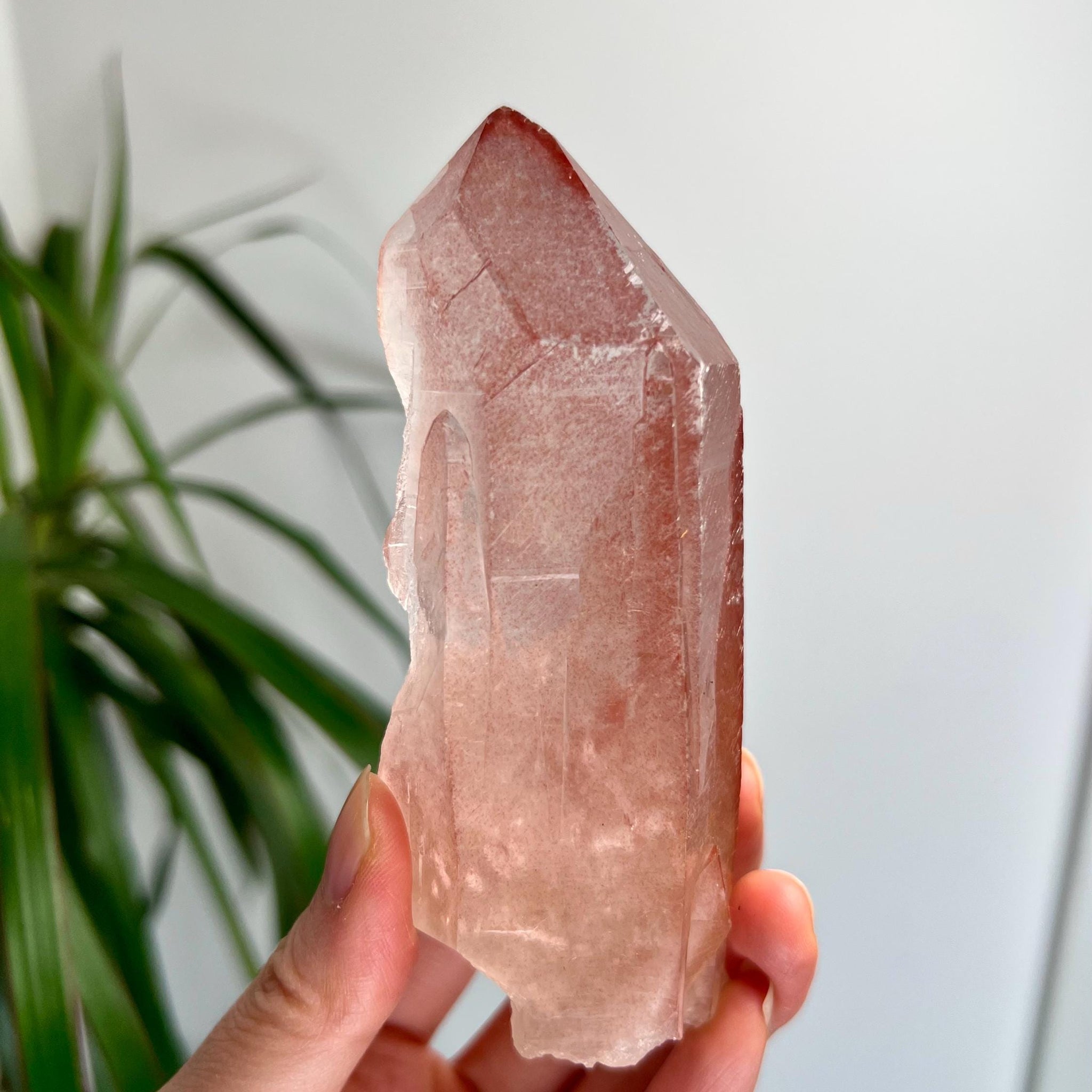 Grade AAA 100% Natural Pink Lemurian Quartz Point–Heart-Activating Love, Wisdom & Divine Connection,from Diamantina - PL30, 249g