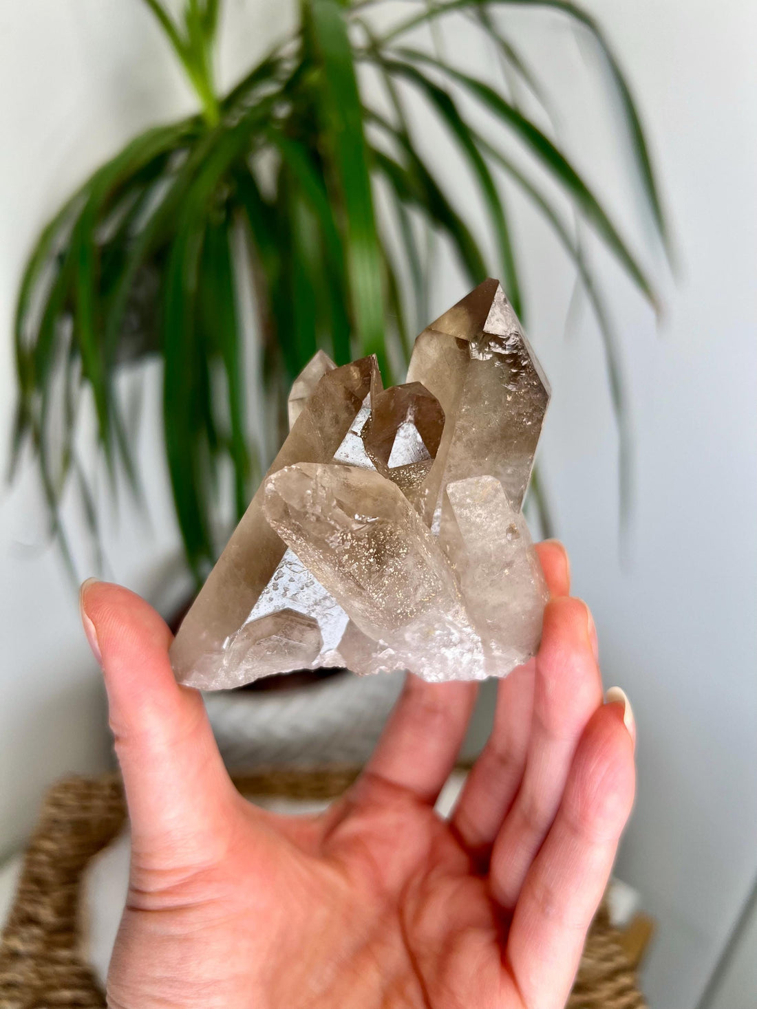 Grade AA+ Natural Etched Smoky Quartz Cluster from Bahia, Brazil SCC01, 158g
