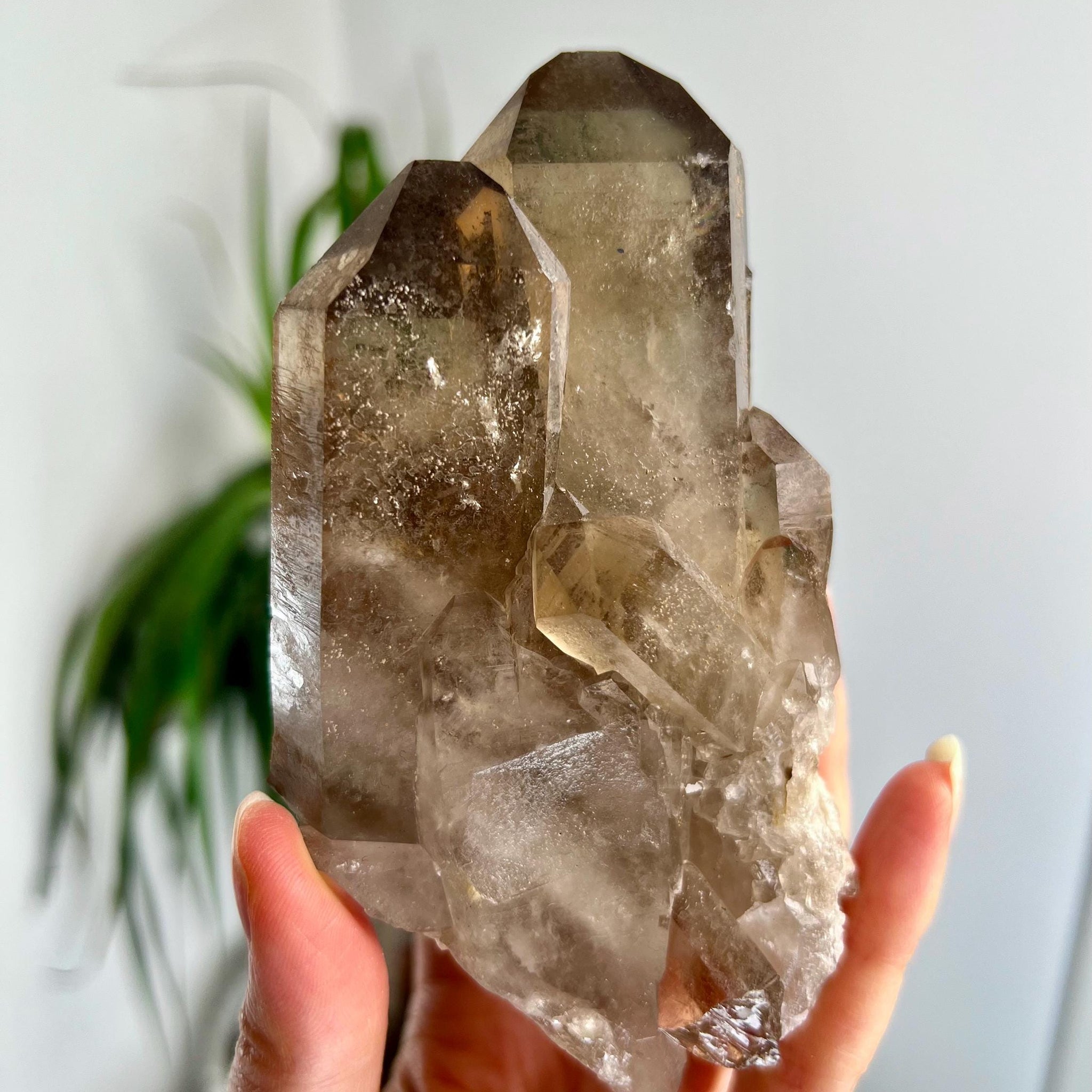 Grade AA+ Natural Etched Smoky Quartz Cluster from Bahia, Brazil SCC07, 376g