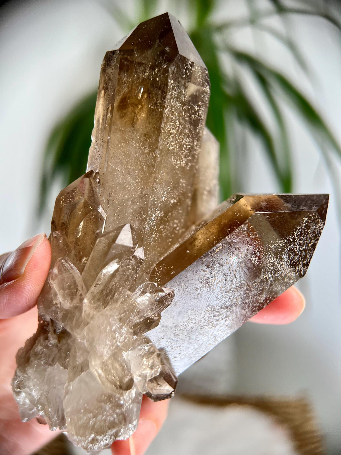 Grade AA+ Natural Etched Smoky Quartz Cluster from Bahia, Brazil SCC07, 376g