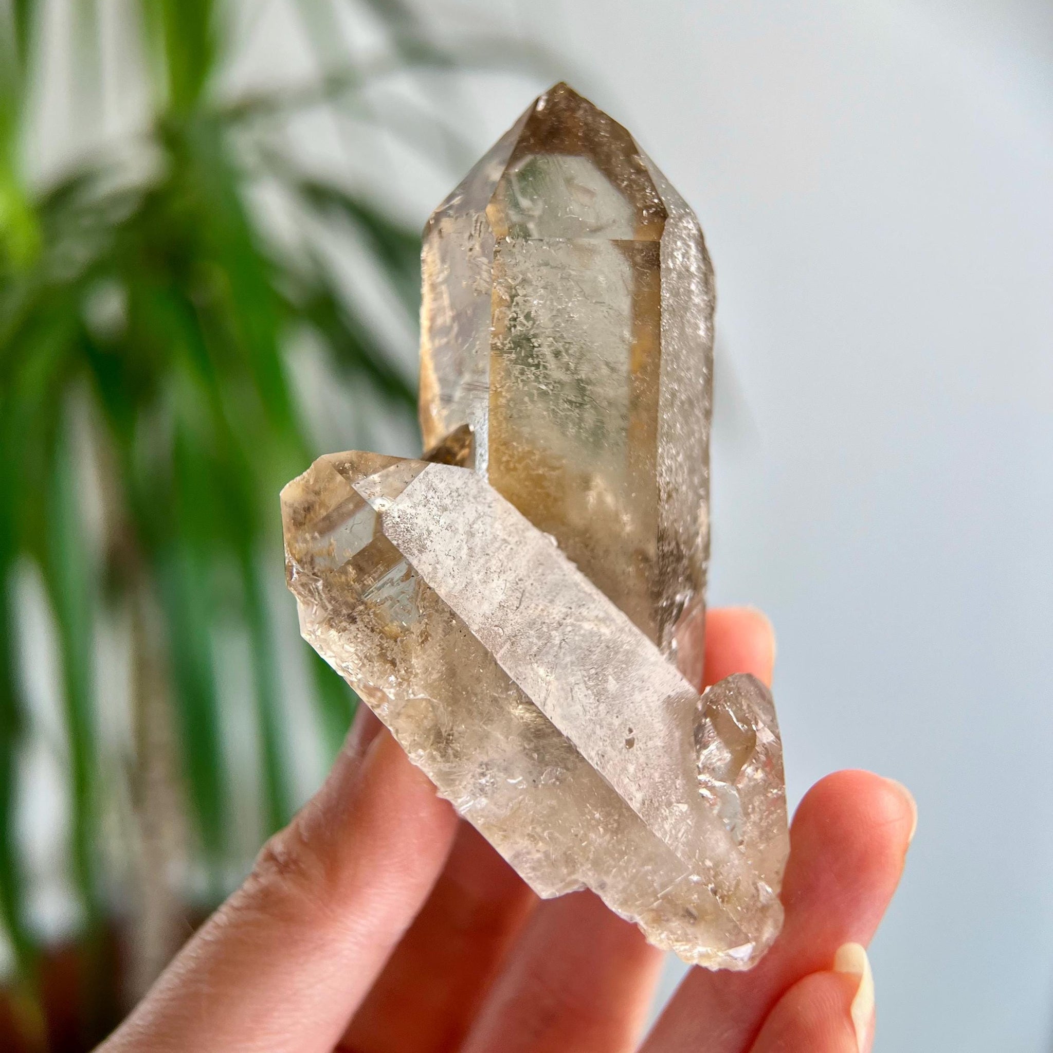 Grade AA+ Natural Etched Smoky Quartz Cluster from Bahia, Brazil SCC11, 102g