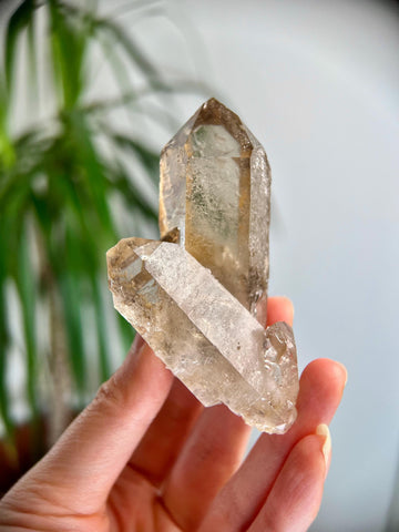 Grade AA+ Natural Etched Smoky Quartz Cluster from Bahia, Brazil SCC11, 102g