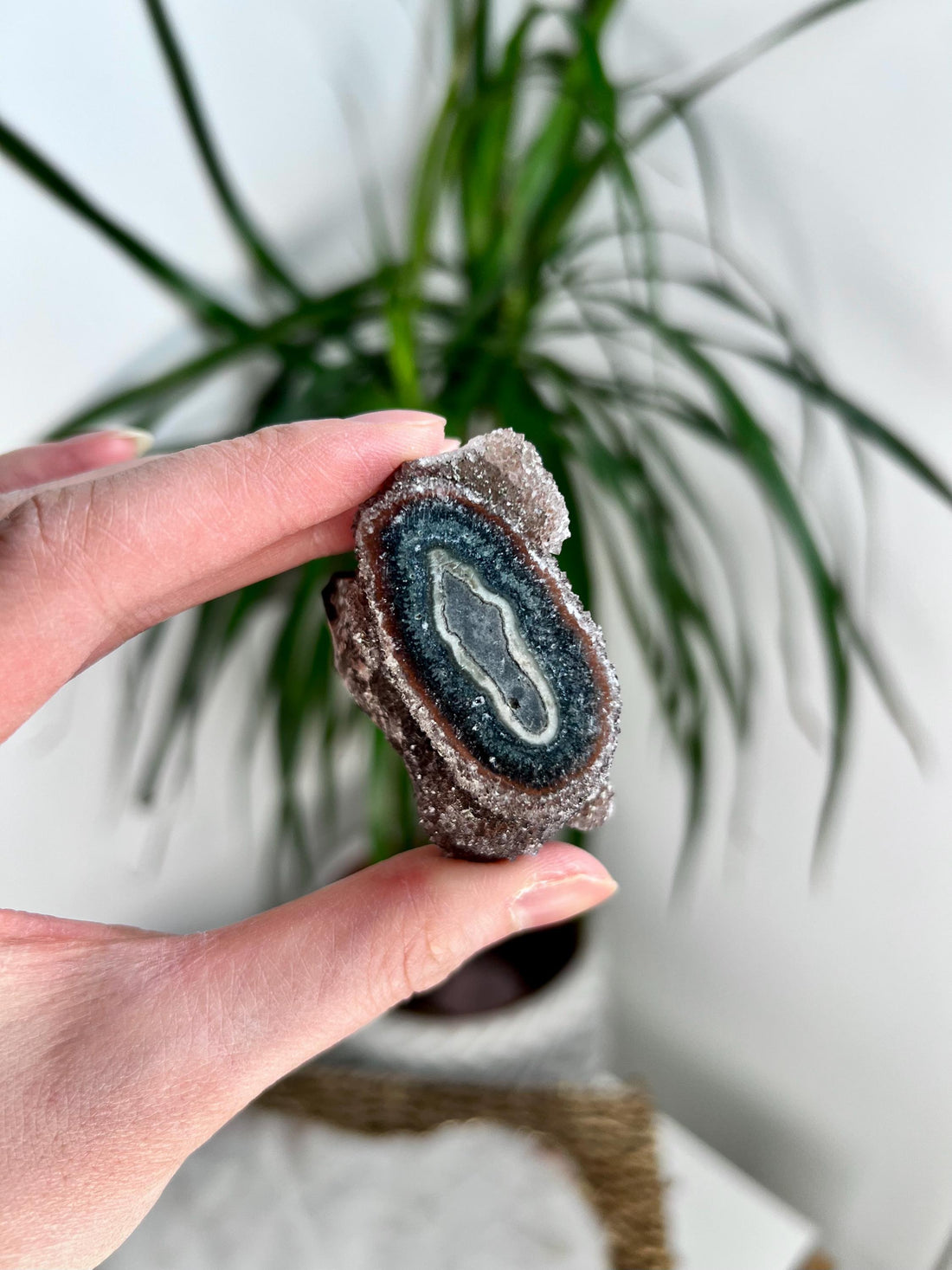 Grade A+ Natural Druzy Jasper Stalactite Eye from Uruguay – Rainbow Amethyst, Heart, Sacral and Root Chakra, US98, 68g