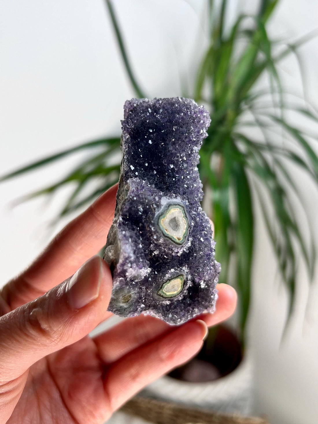 Grade AA Natural Amethyst Flower Stalactite from Uruguay – Unique Formation, High-Energy Healing Crystal - US107, 72g