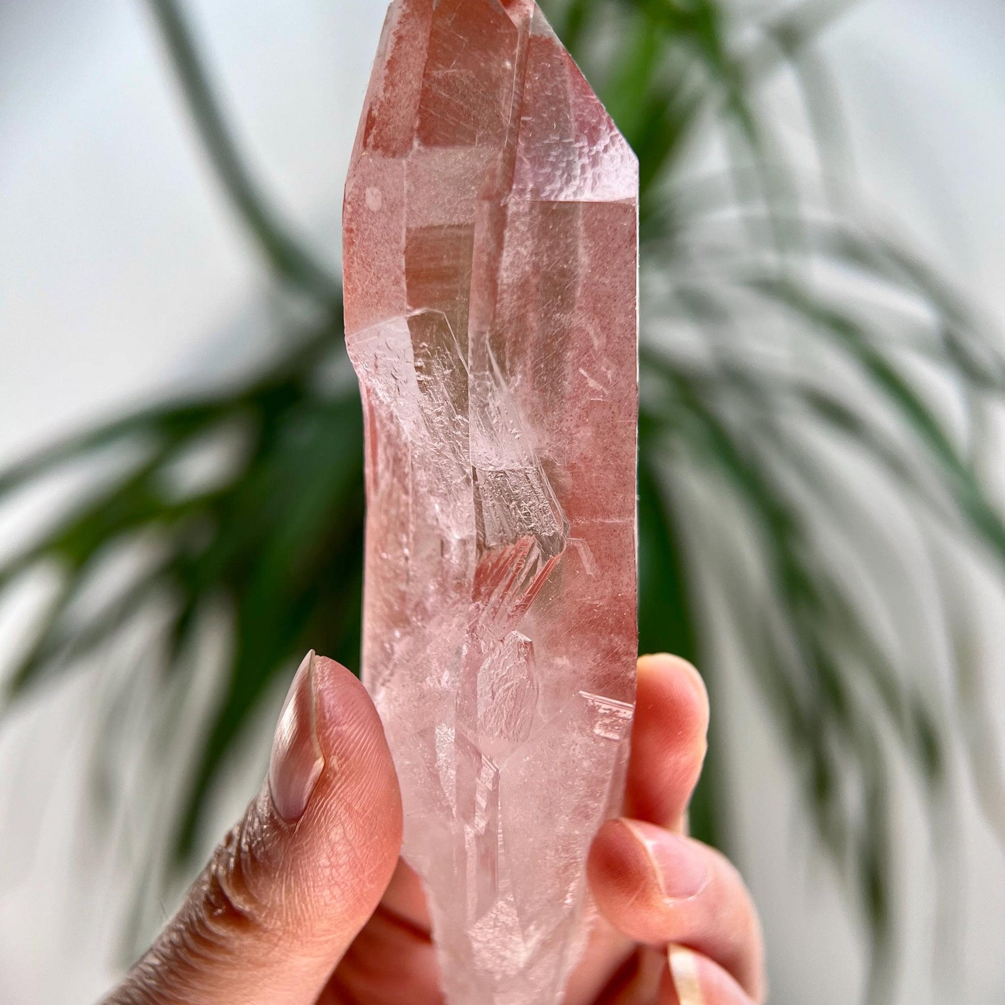 Grade AAA 100% Natural Pink Lemurian Quartz Point– Heart-Activating Love, Wisdom & Divine Connection, from Diamantina, Brazil - PL04, 119g