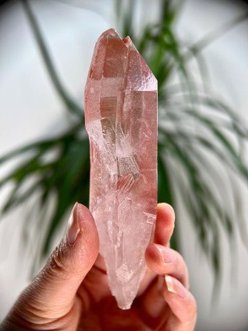 Grade AAA 100% Natural Pink Lemurian Quartz Point– Heart-Activating Love, Wisdom & Divine Connection, from Diamantina, Brazil - PL04, 119g