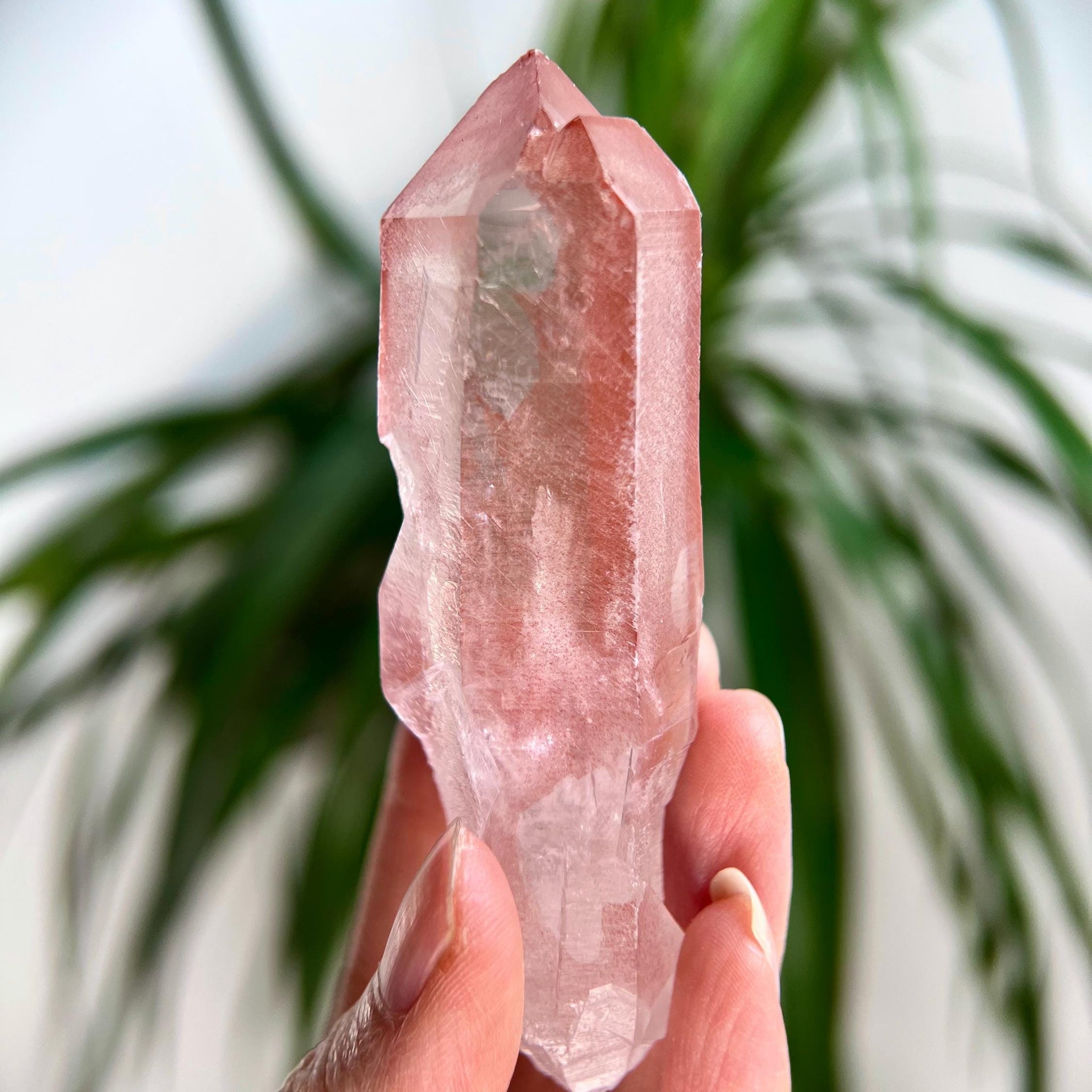 Grade AAA 100% Natural Pink Lemurian Quartz Point– Heart-Activating Love, Wisdom & Divine Connection, from Diamantina, Brazil - PL05, 95g