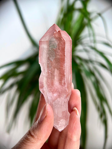 Grade AAA 100% Natural Pink Lemurian Quartz Point– Heart-Activating Love, Wisdom & Divine Connection, from Diamantina, Brazil - PL05, 95g