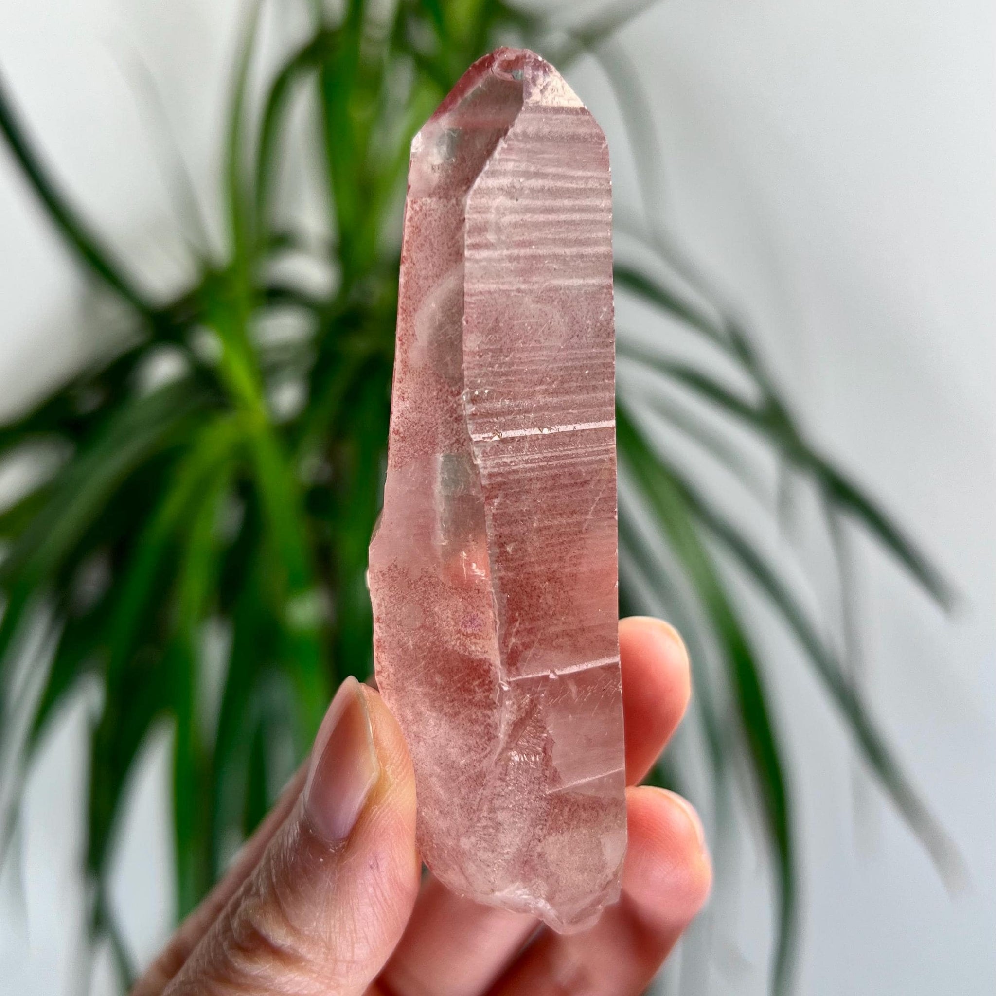 Grade AAA 100% Natural Pink Lemurian Quartz Point–Heart-Activating Love,Wisdom & Divine Connection,from Diamantina - PL09, 85g